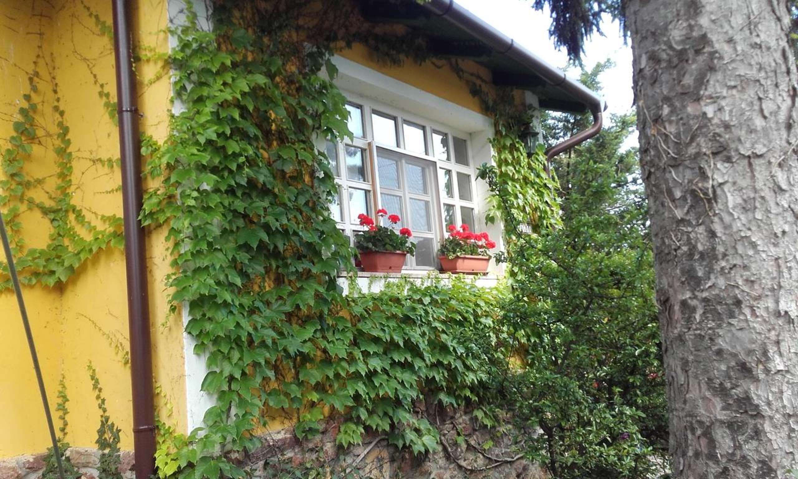 Photo 86