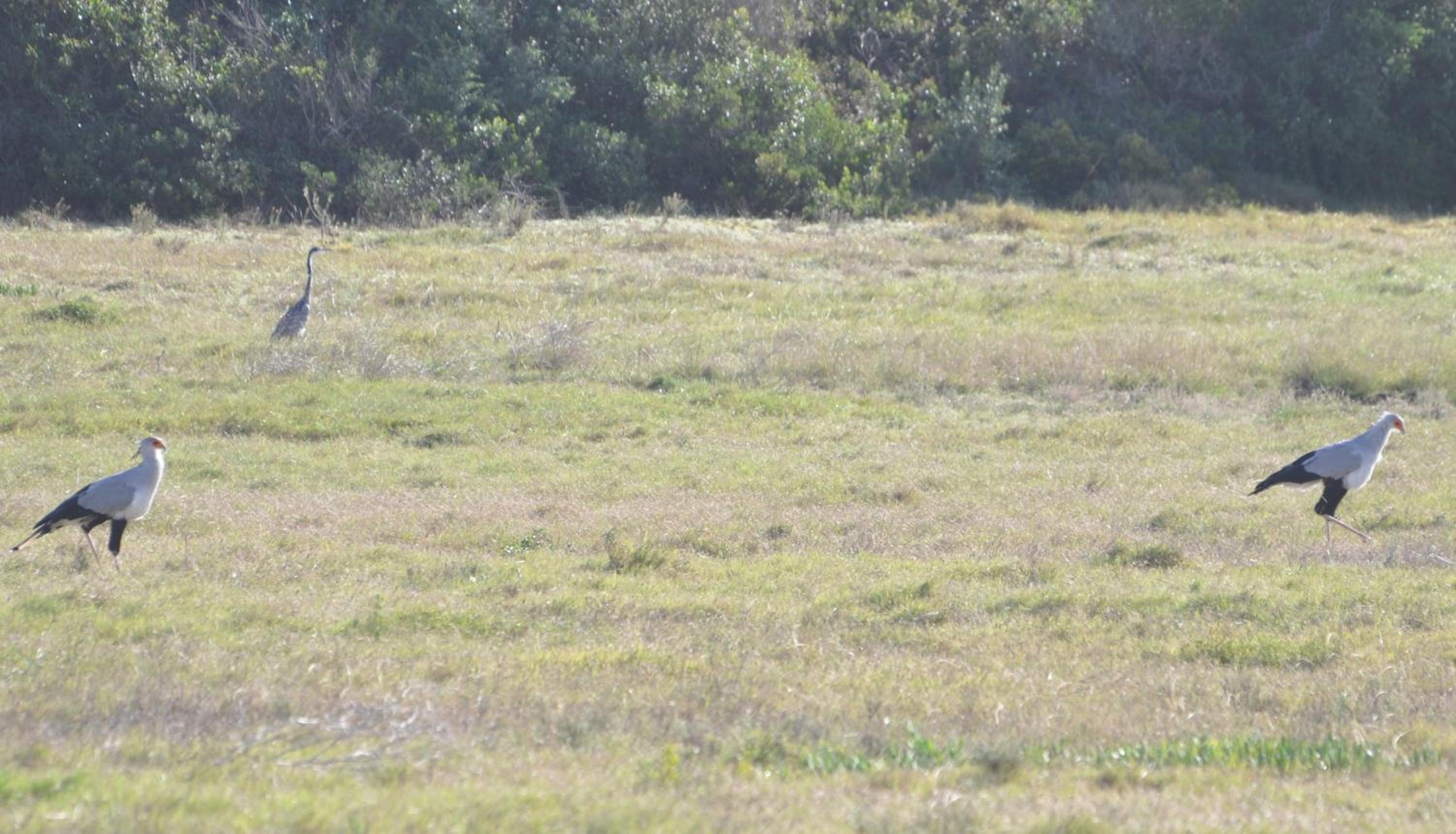 Photo 32