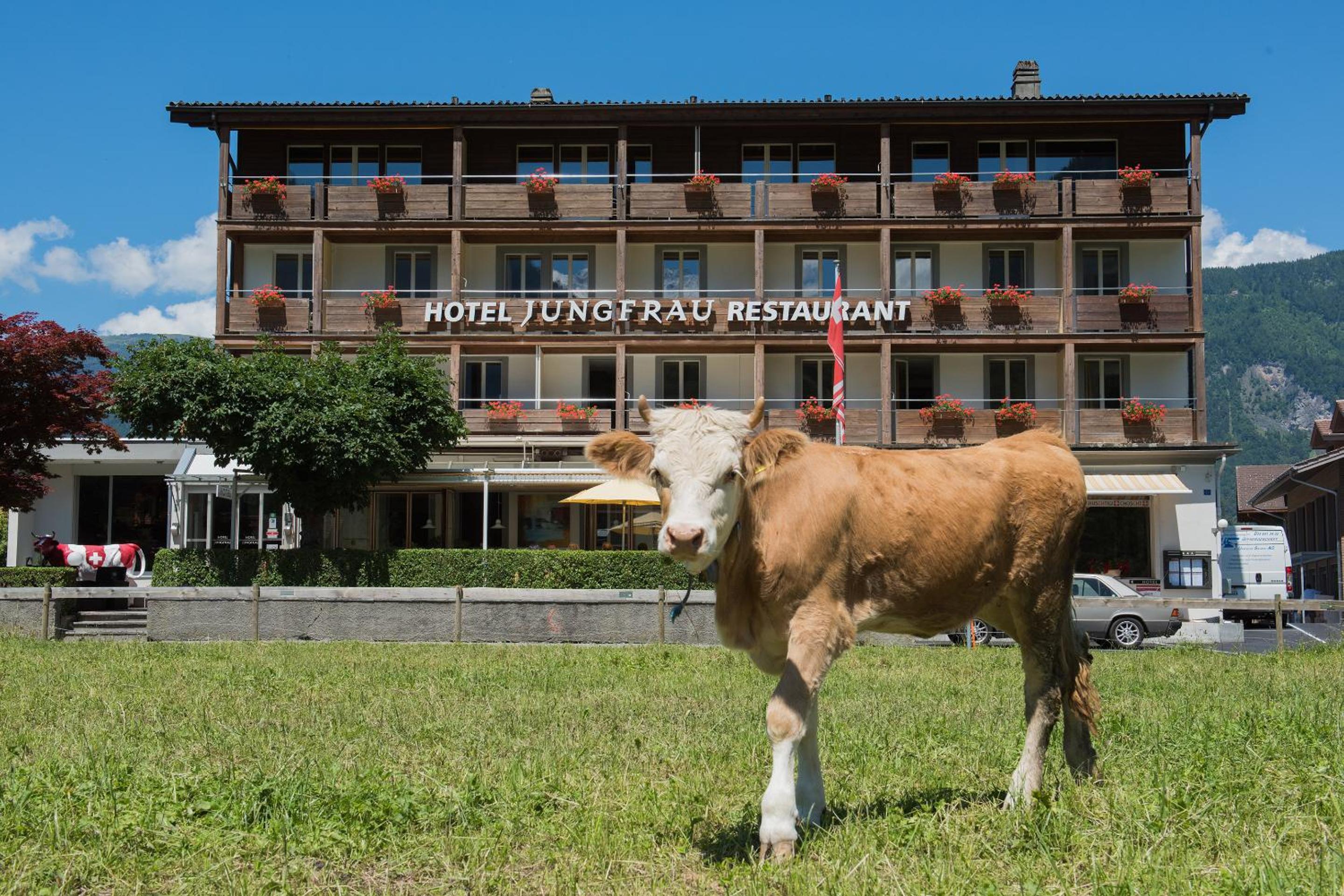 Hotel Jungfrau Hotel - Image 1