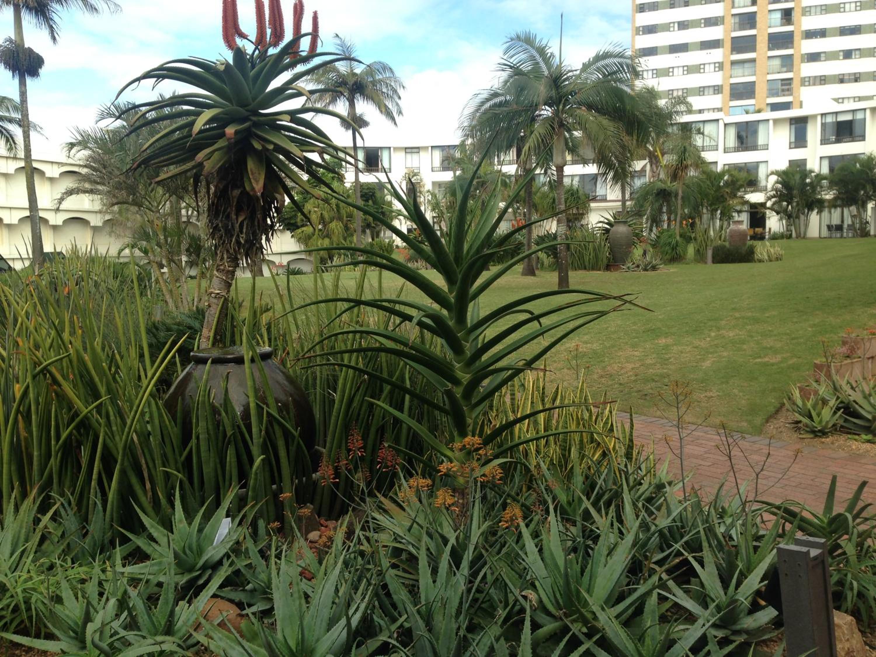 Photo 19
