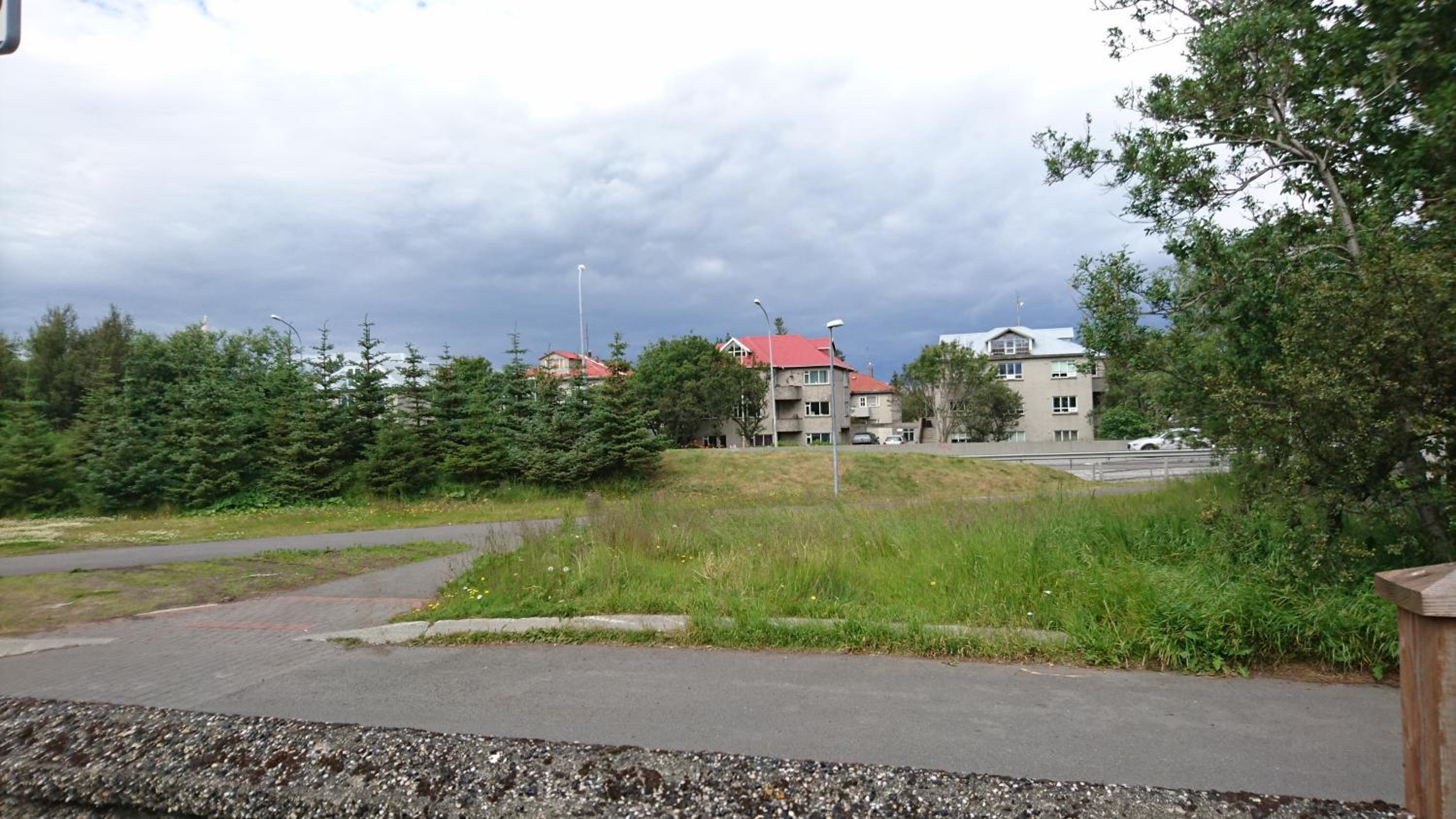 Photo 44