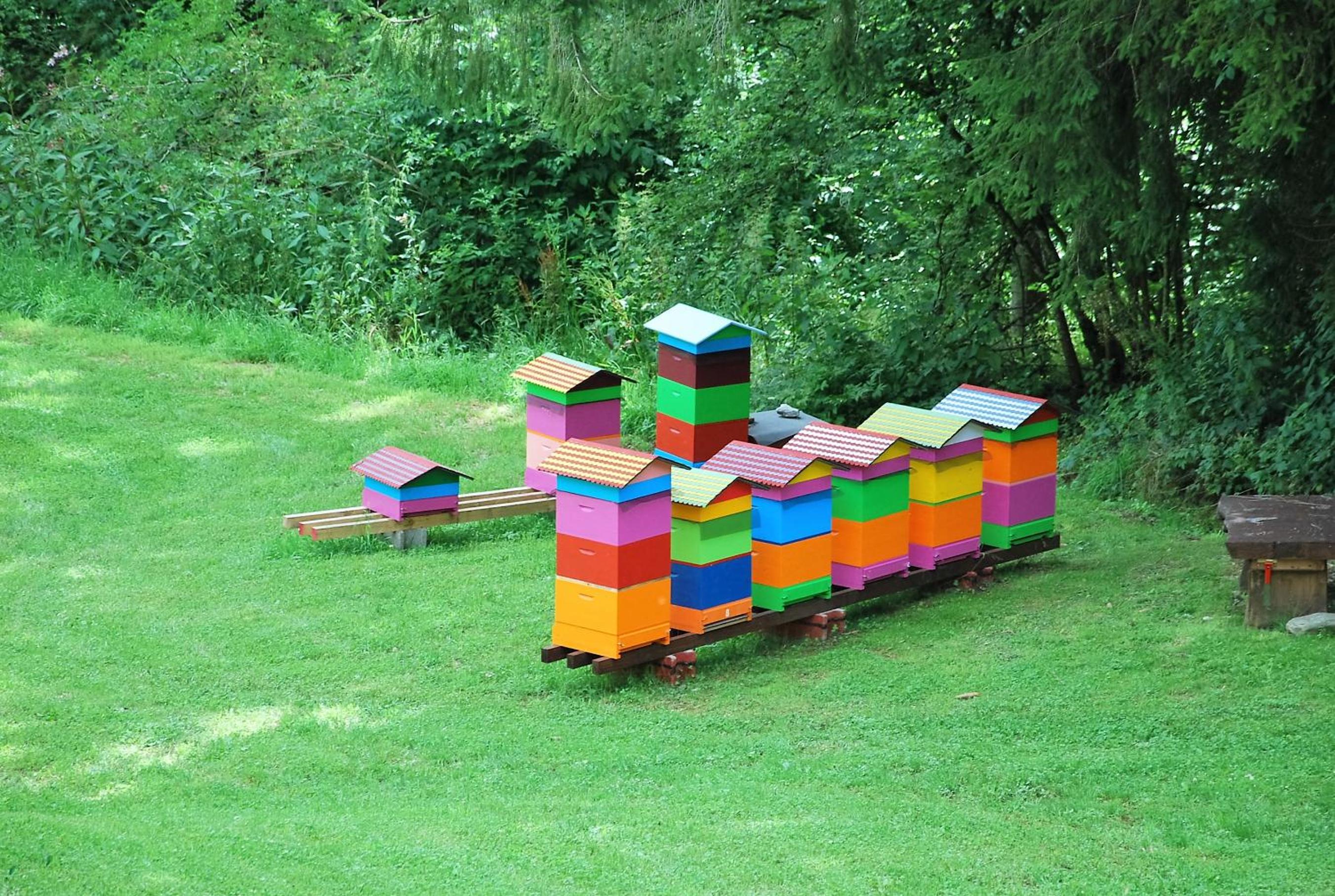 Haus Pflaum