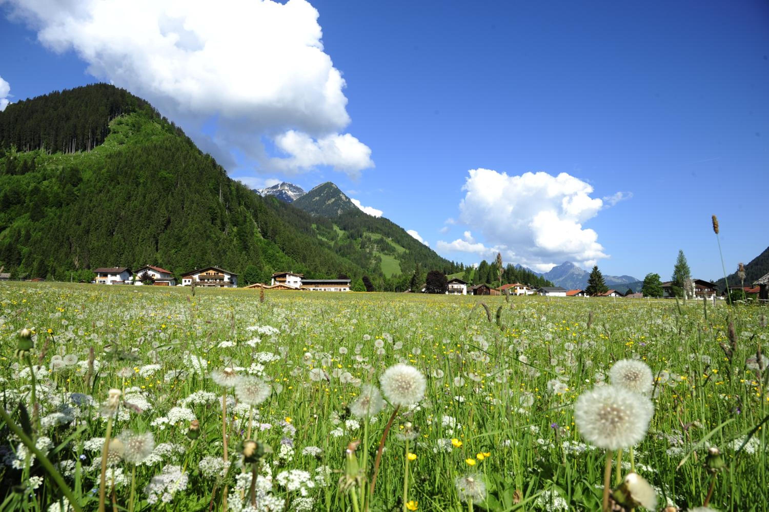 Appartements & Chalets Wiesenruh