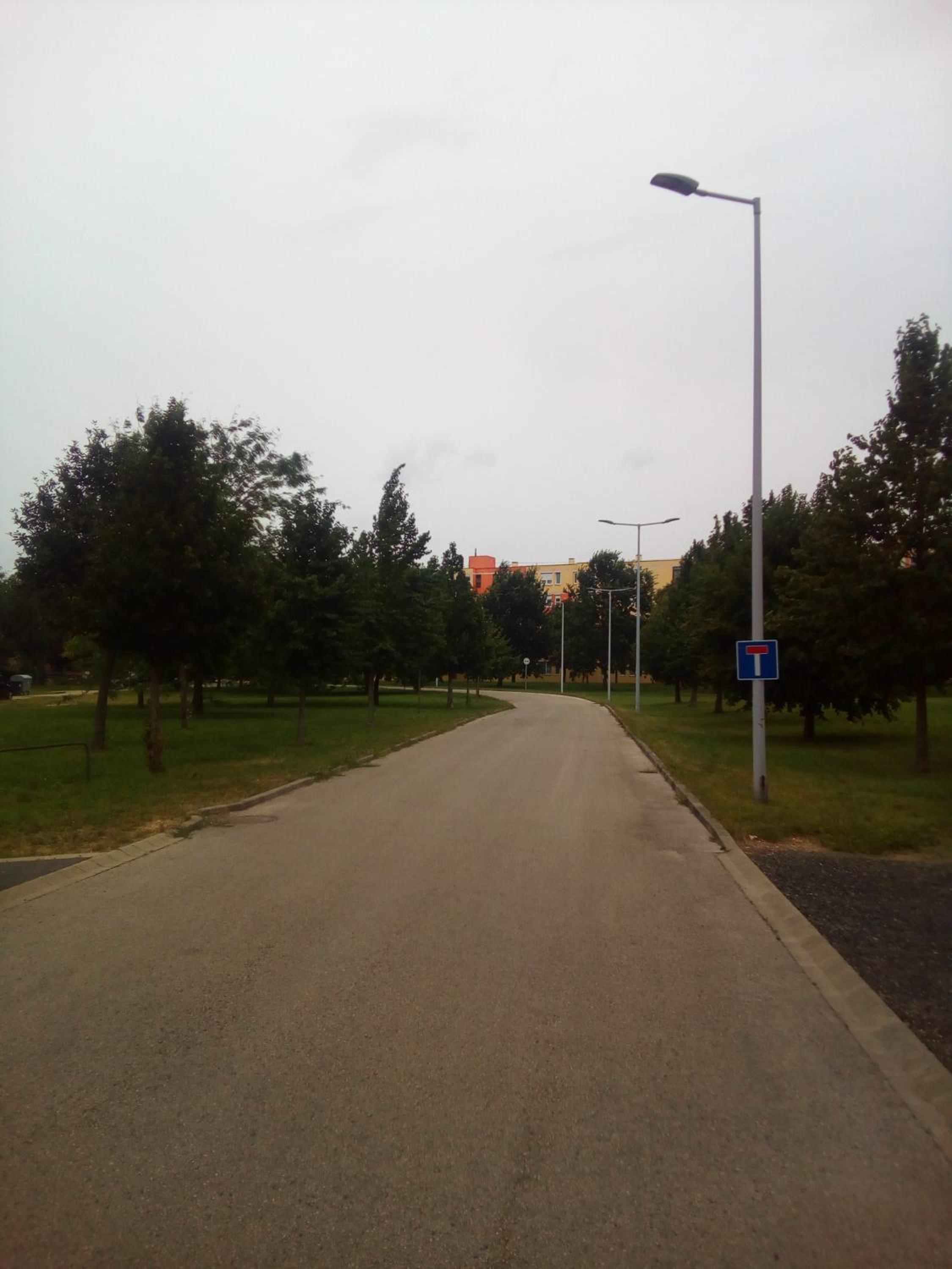 Photo 24