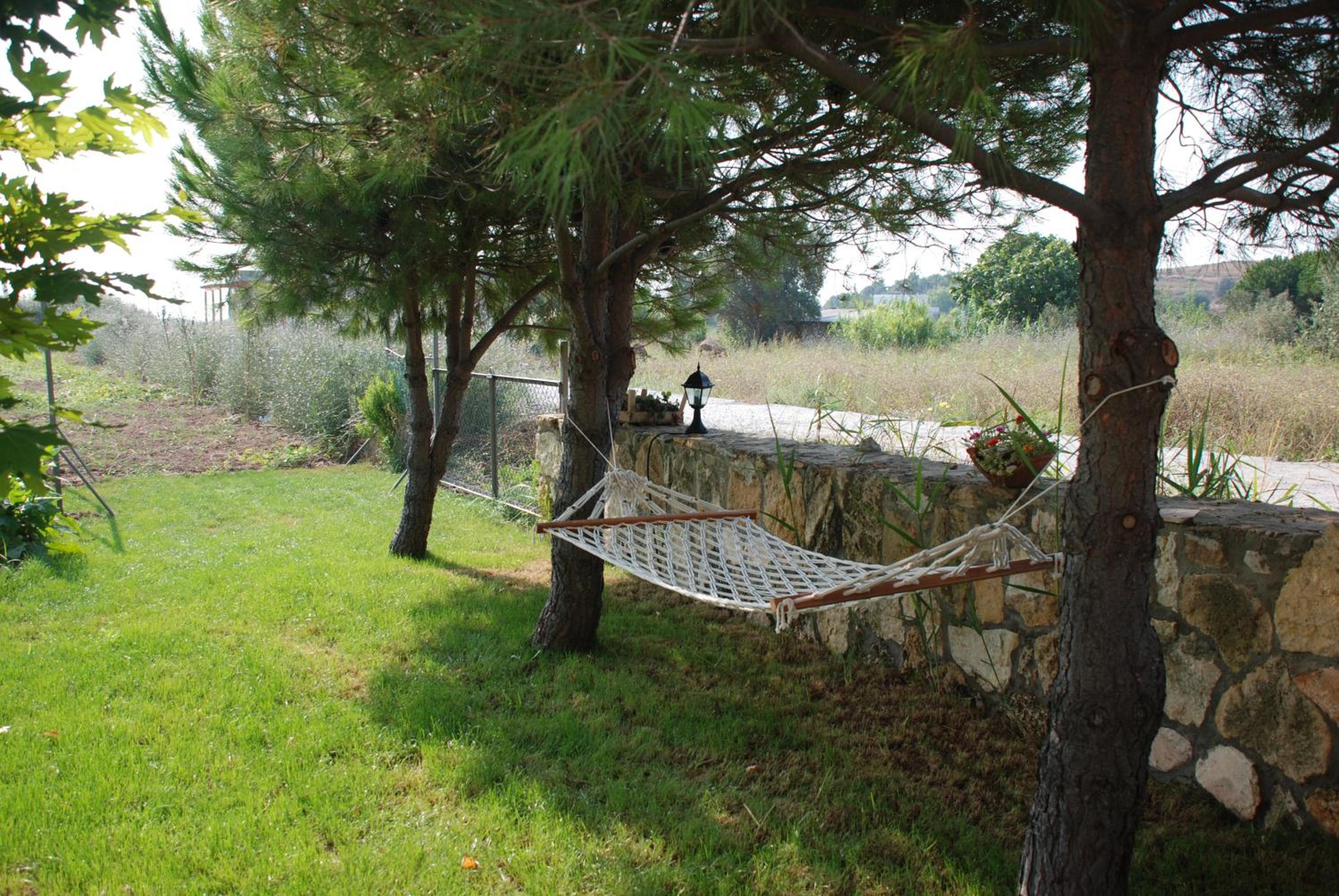 Nar Bağevi