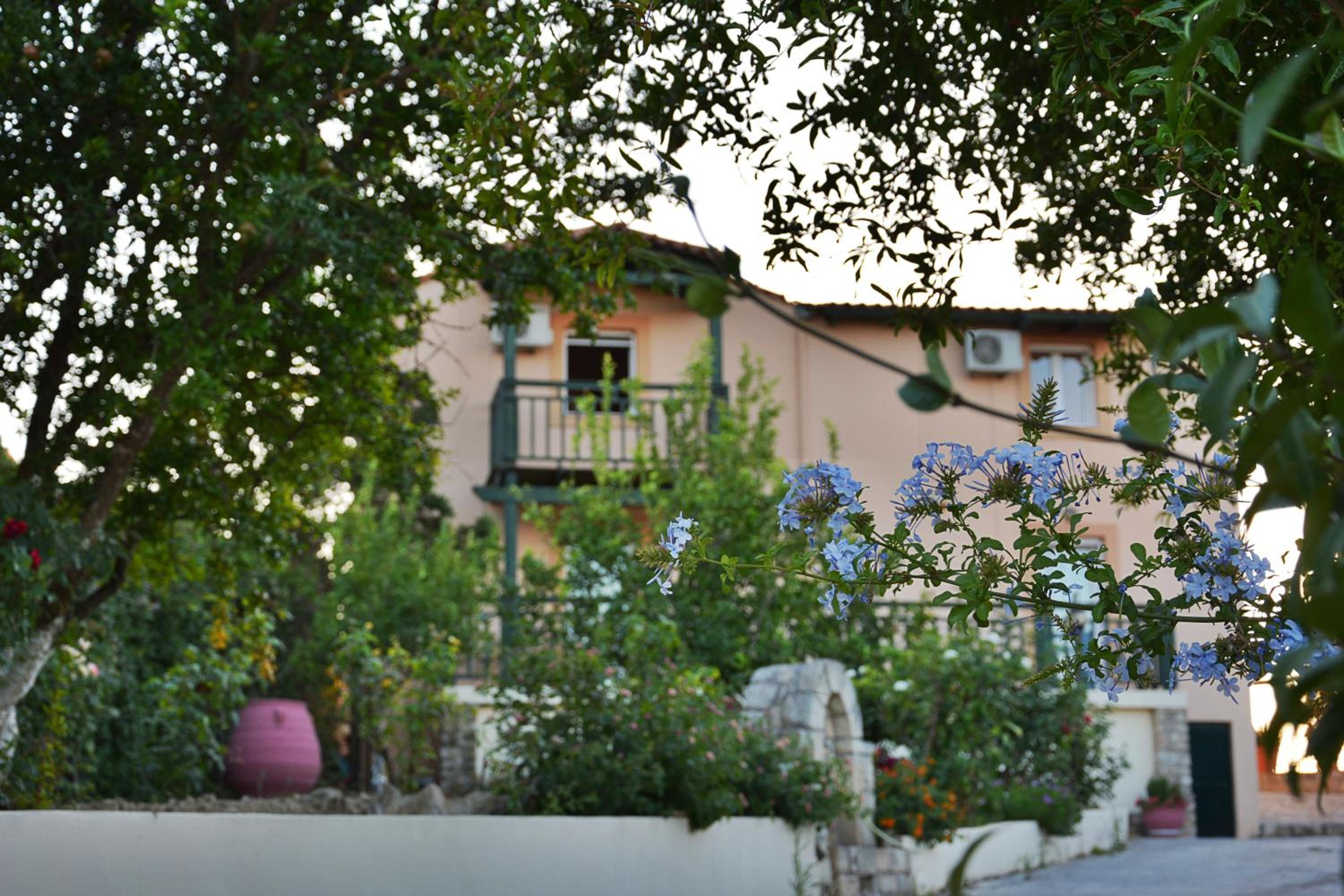 Villa Galini photo 5