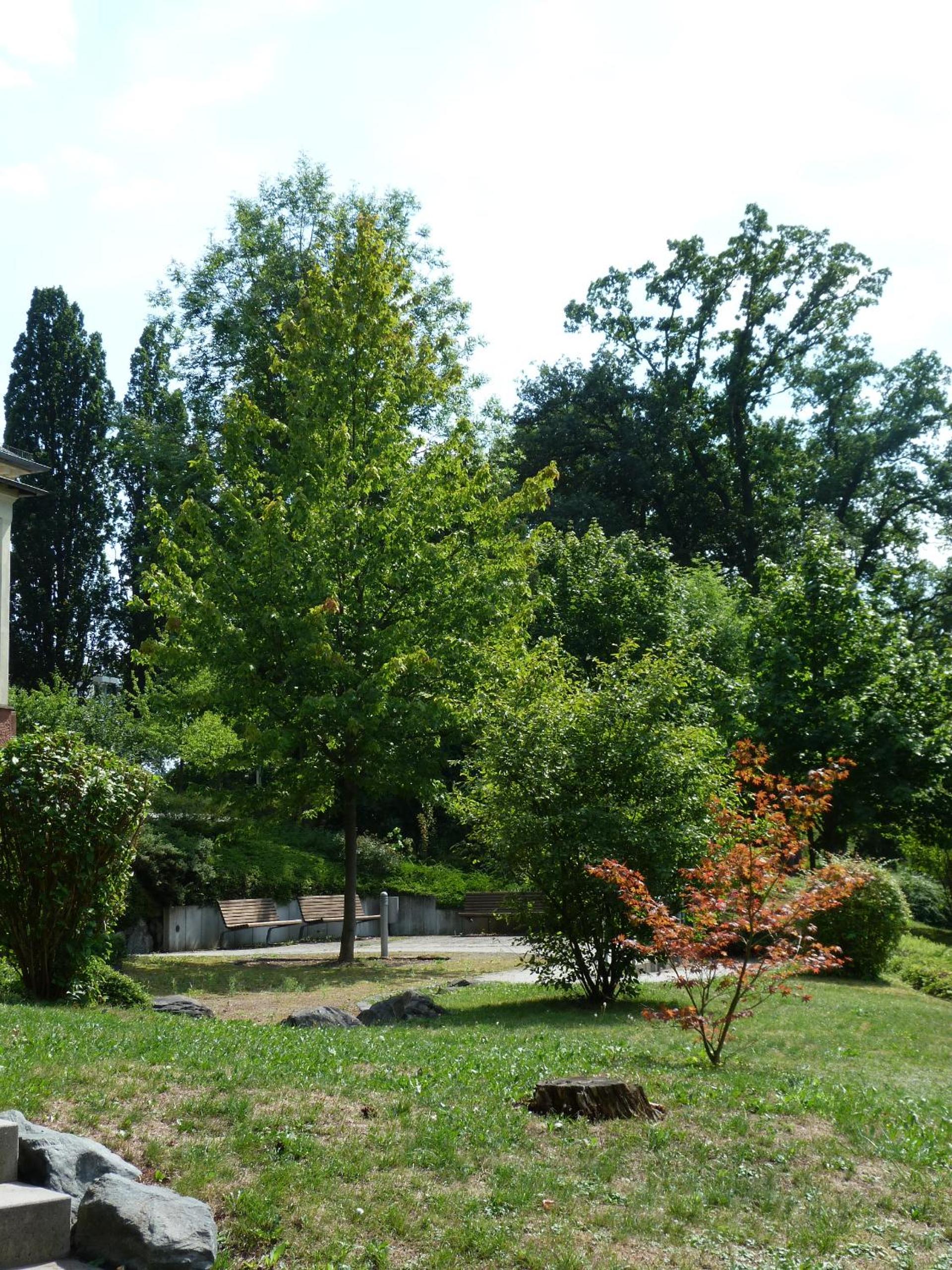 Photo 22