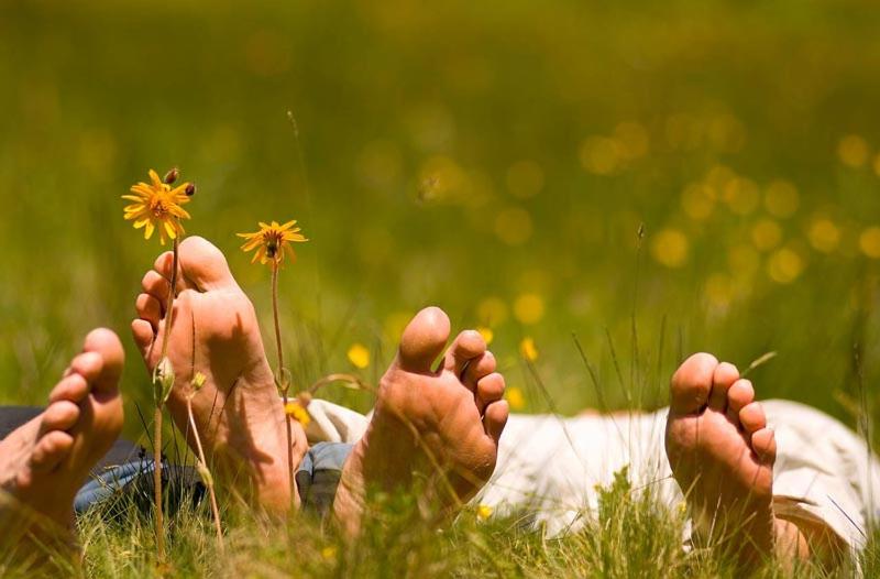 Wellness Pension Iveta