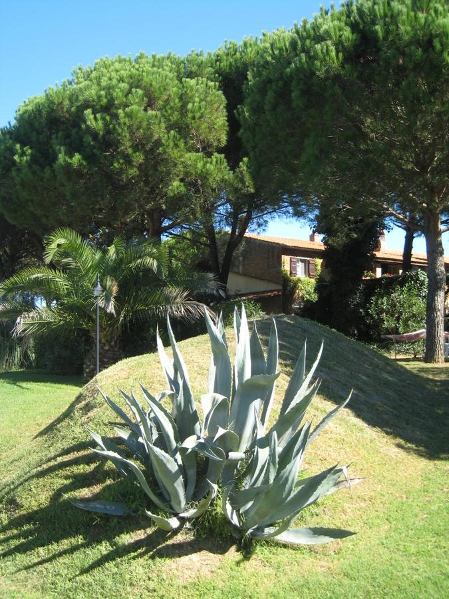 Photo 26
