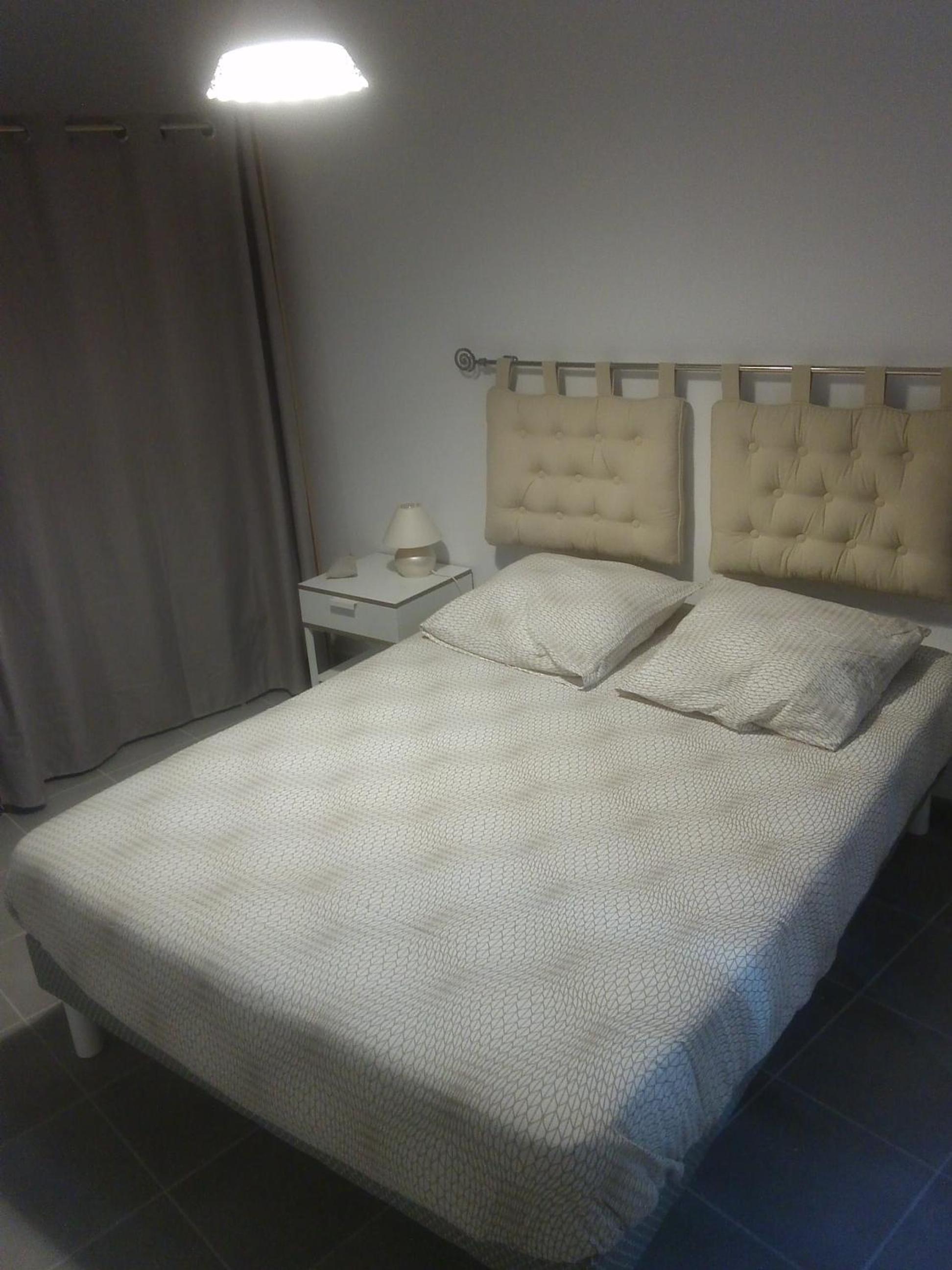 Colombe, photo 12