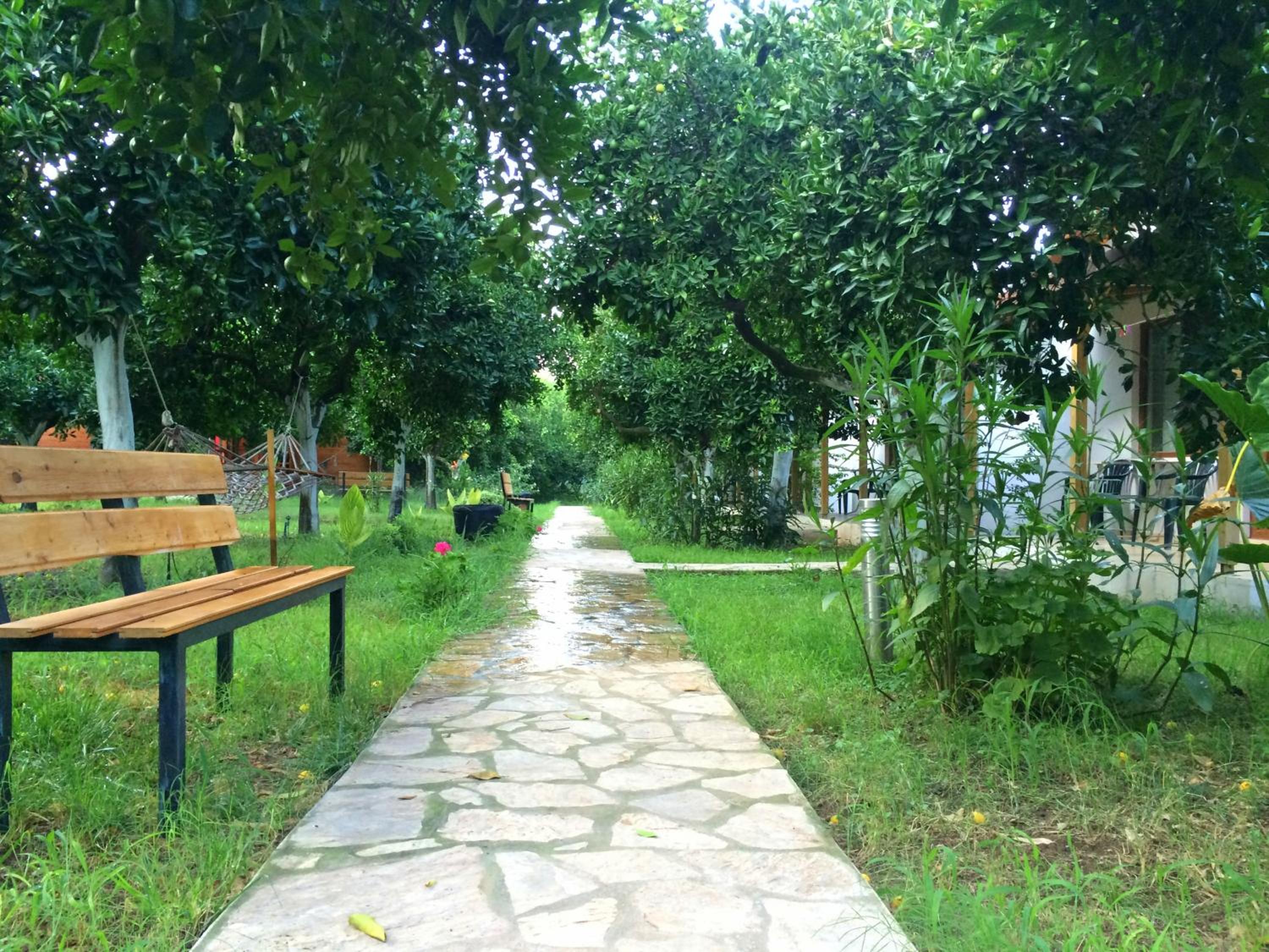 Photo 39