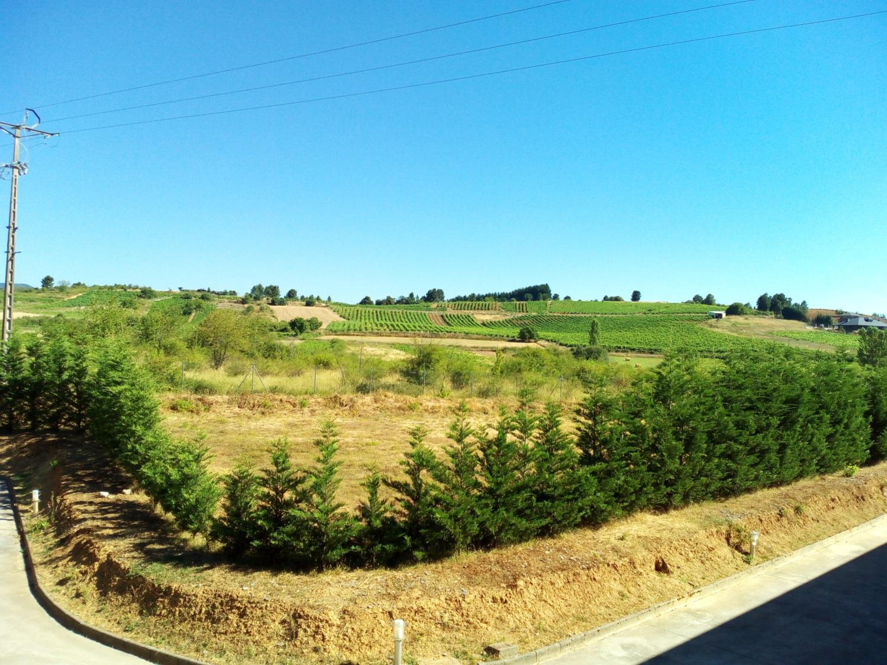 Photo 38