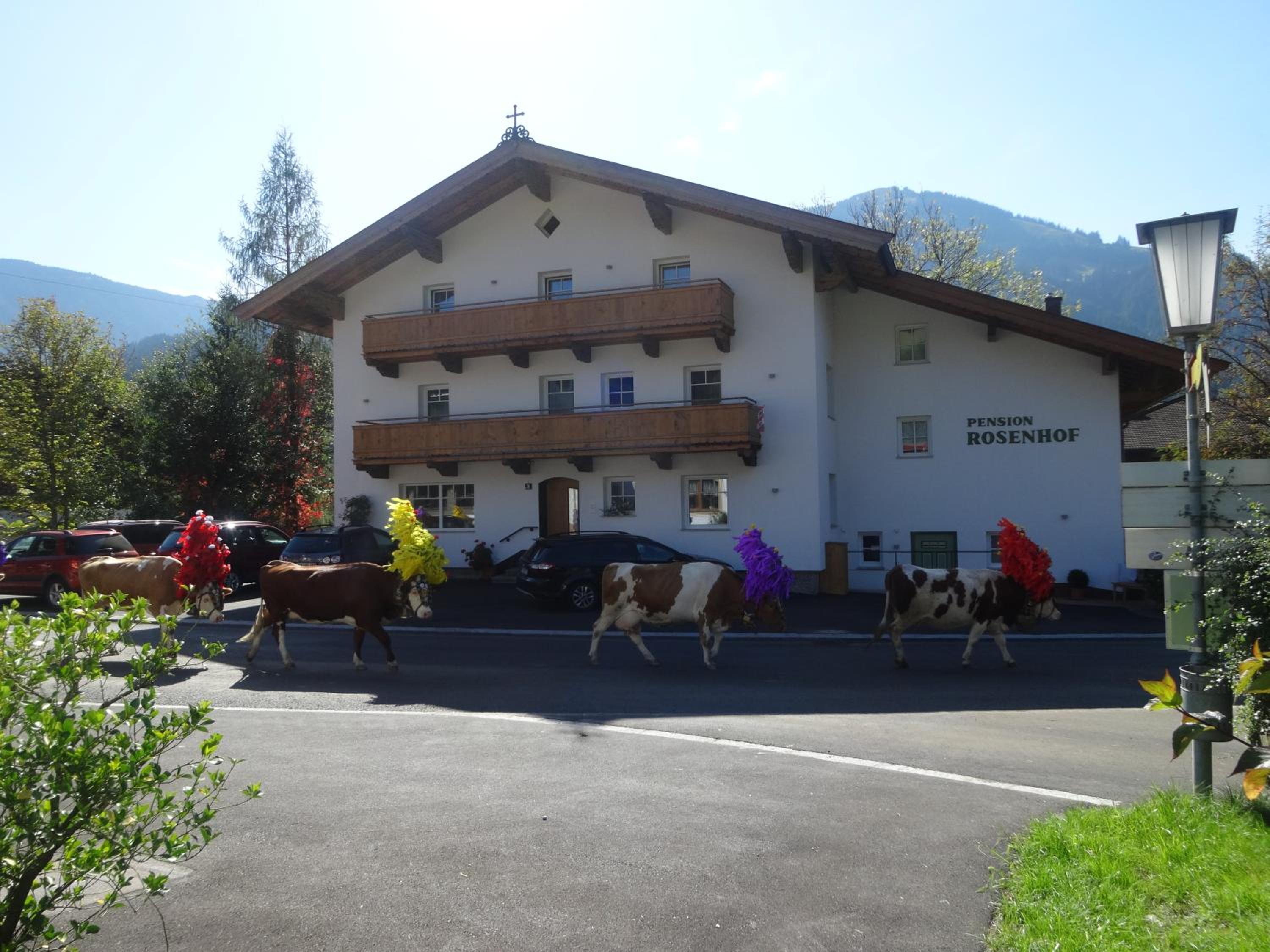 Pension Rosenhof