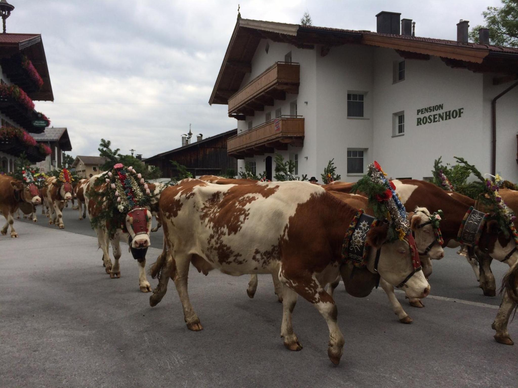 Pension Rosenhof