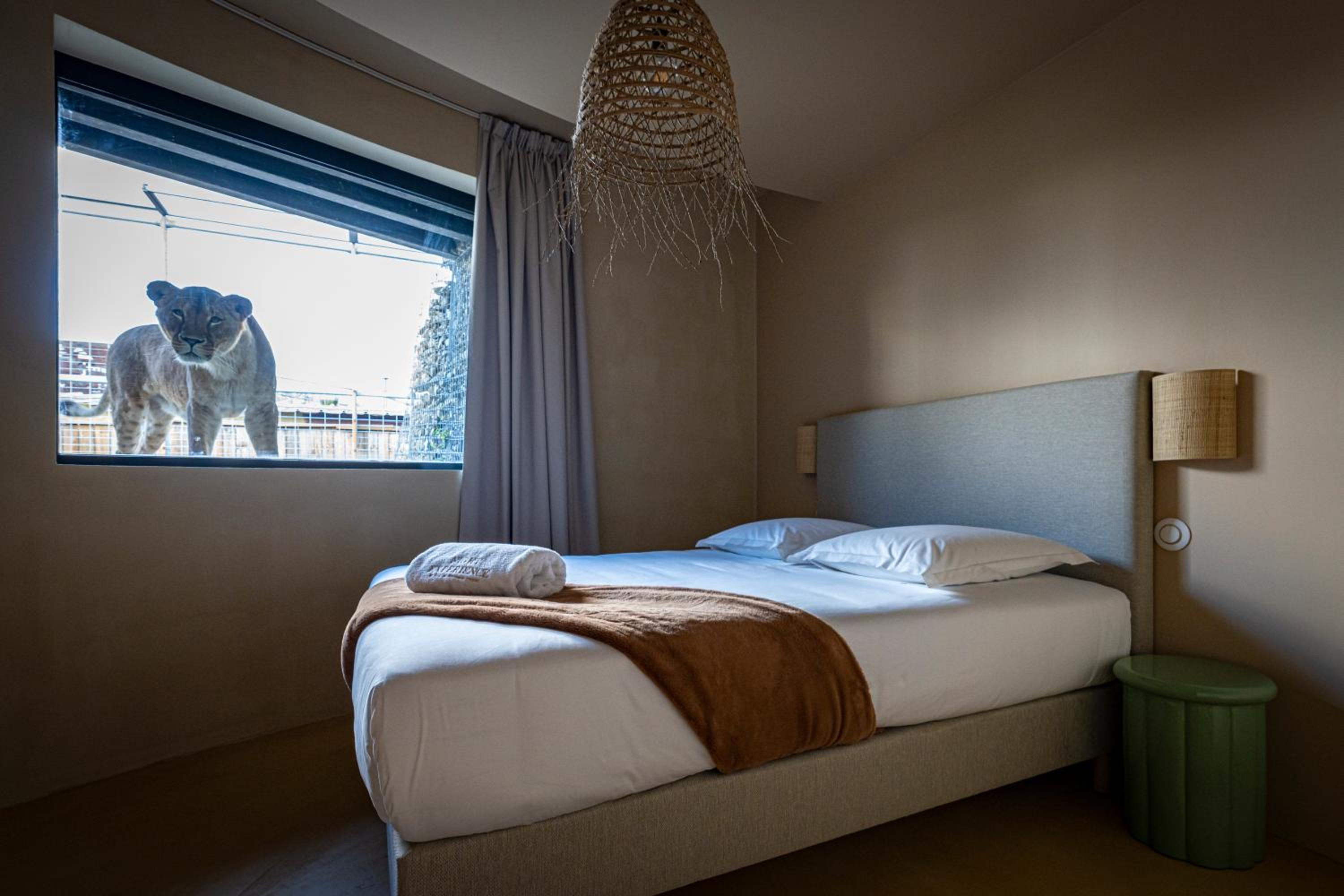 Night experience - Lodge By Zoo Bordeaux Pessac