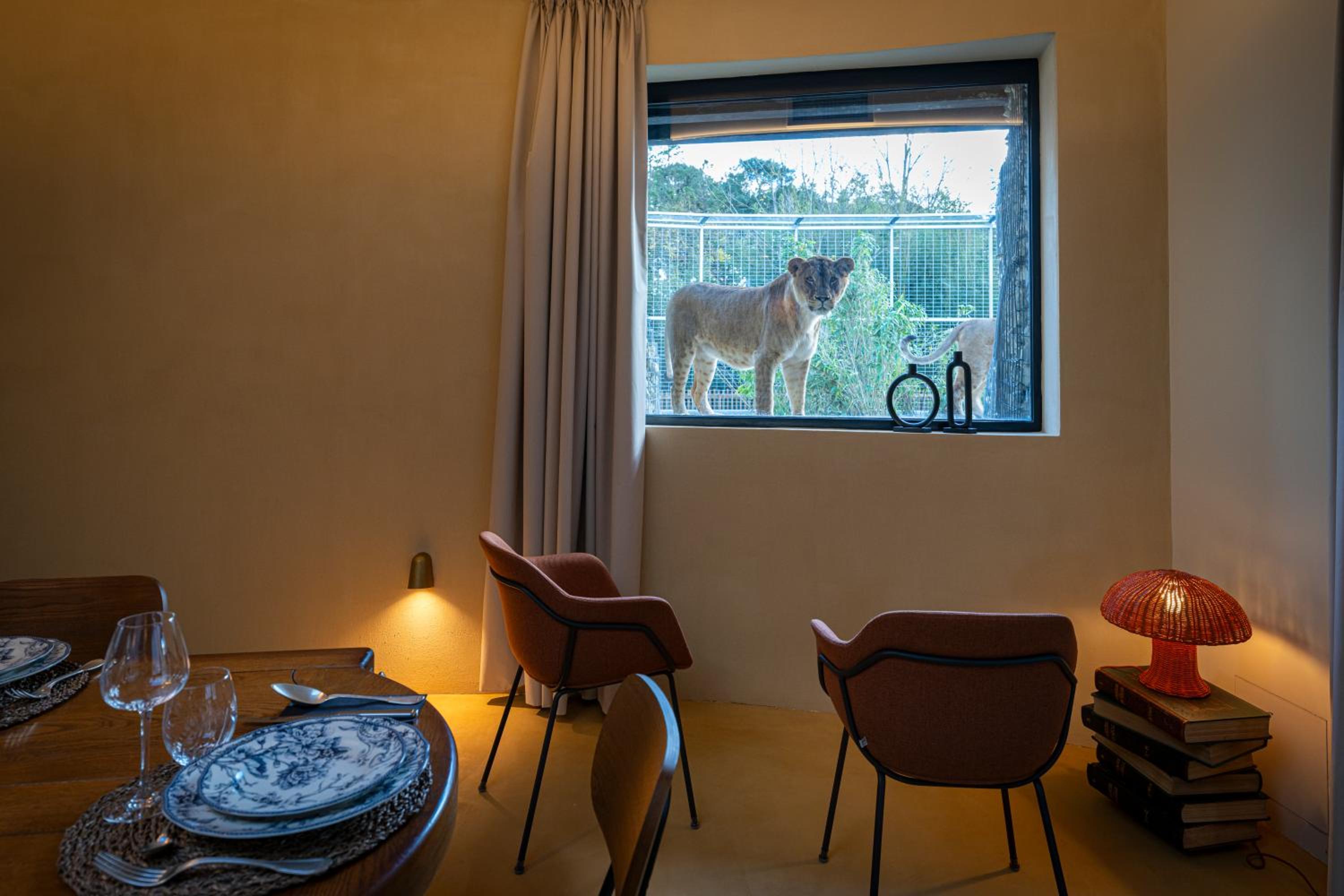 Night experience - Lodge By Zoo Bordeaux Pessac