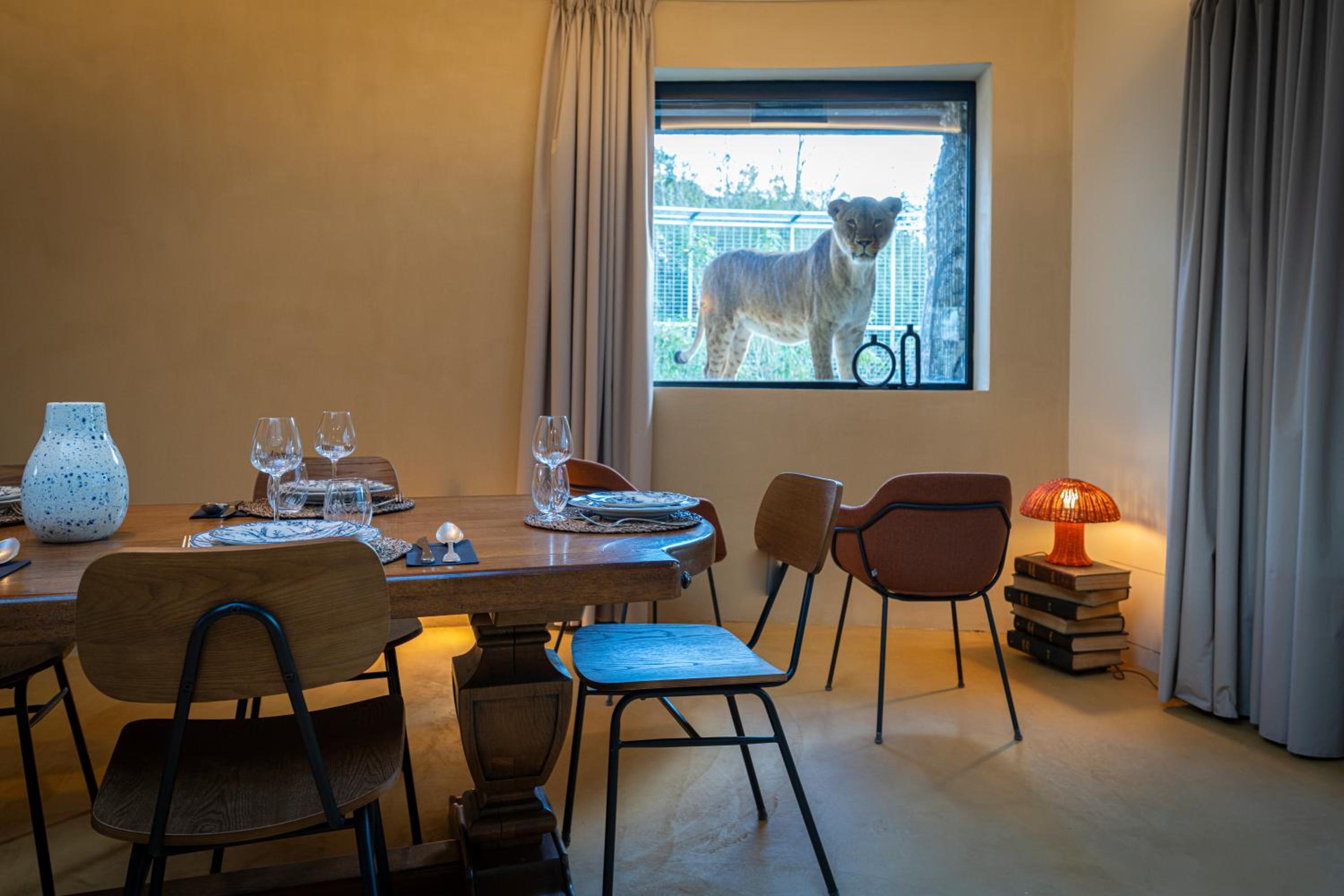 Night experience - Lodge By Zoo Bordeaux Pessac