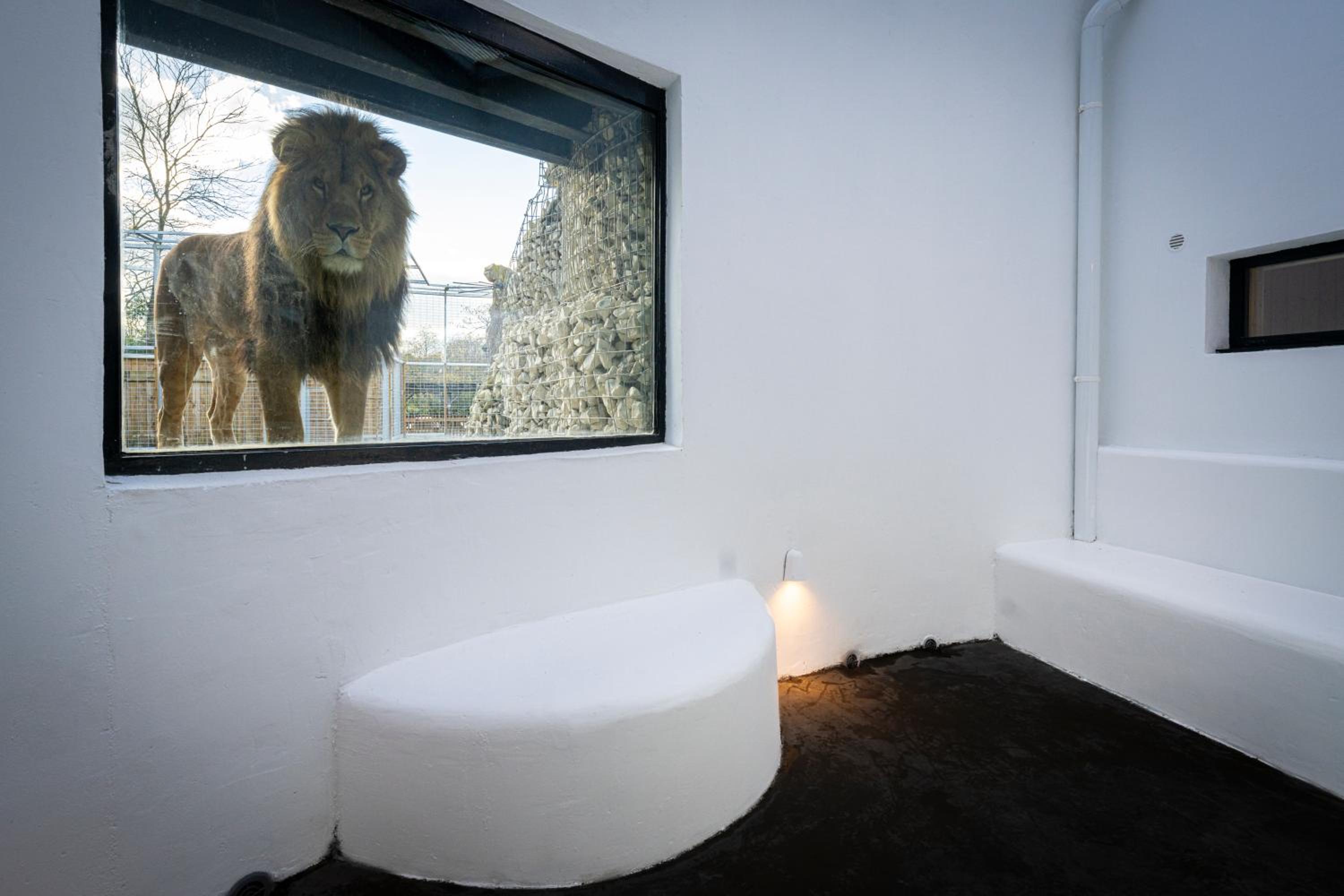 Night experience - Lodge By Zoo Bordeaux Pessac