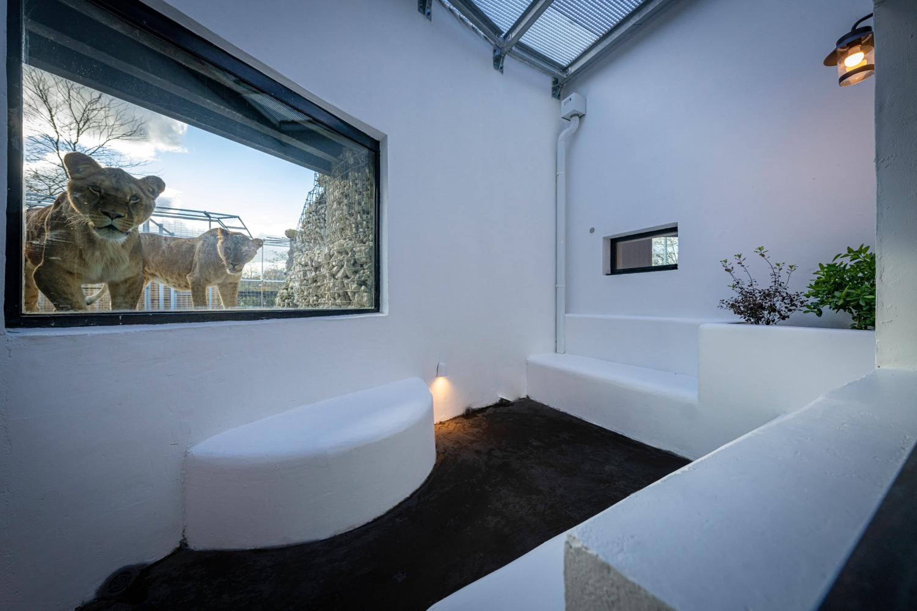 Night experience - Lodge By Zoo Bordeaux Pessac