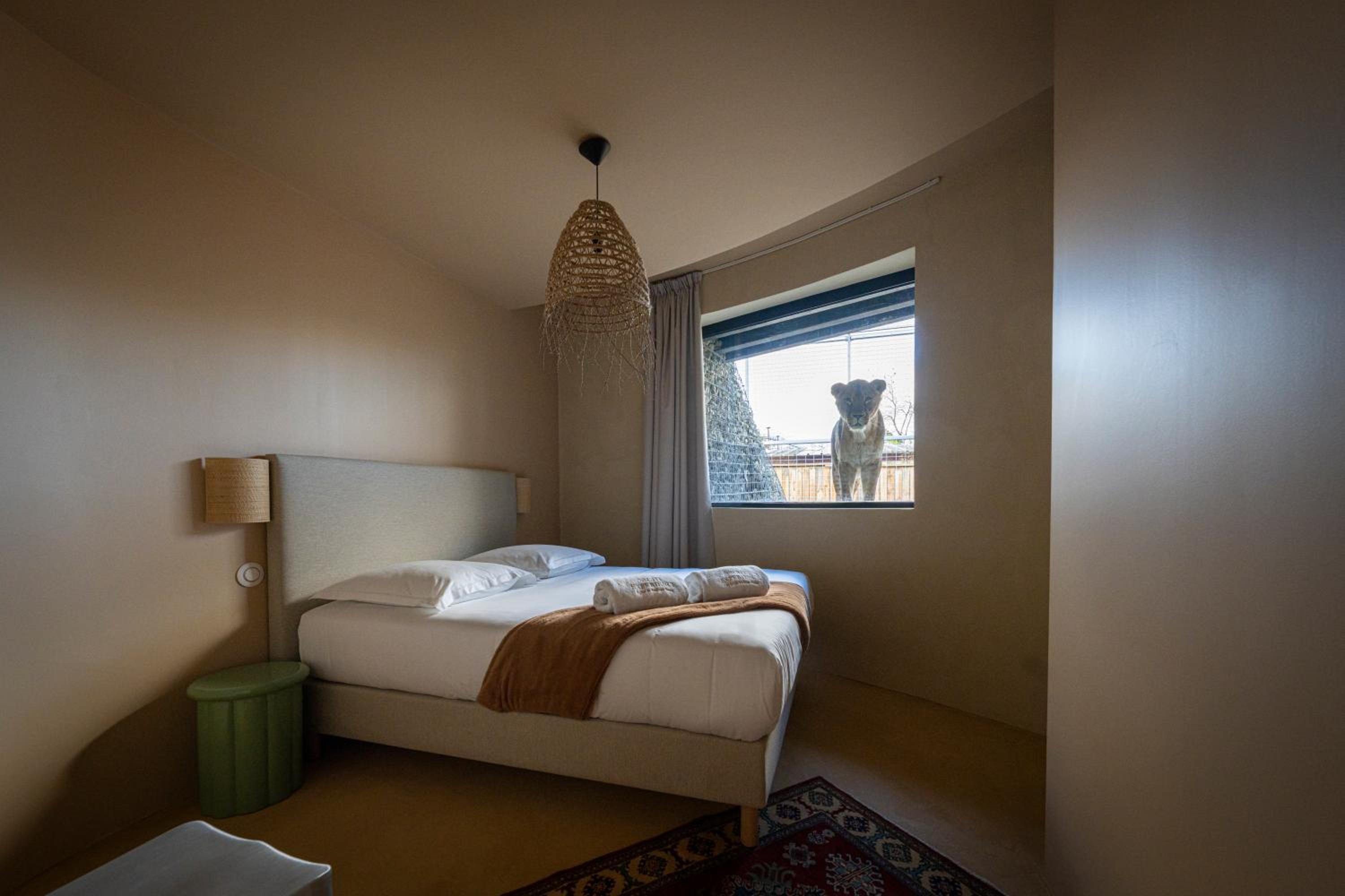 Night experience - Lodge By Zoo Bordeaux Pessac