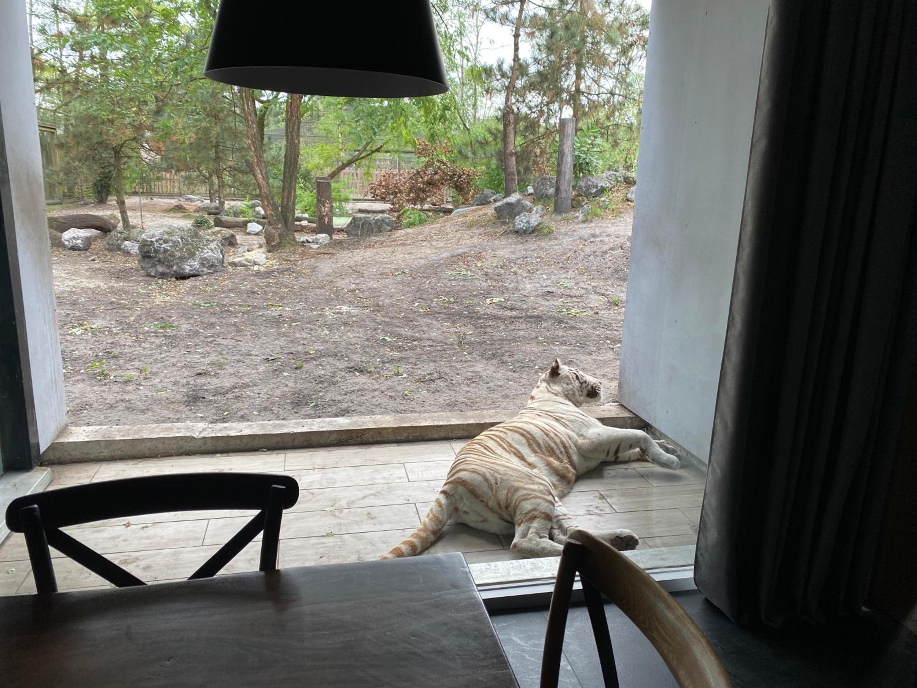 Night experience - Lodge By Zoo Bordeaux Pessac