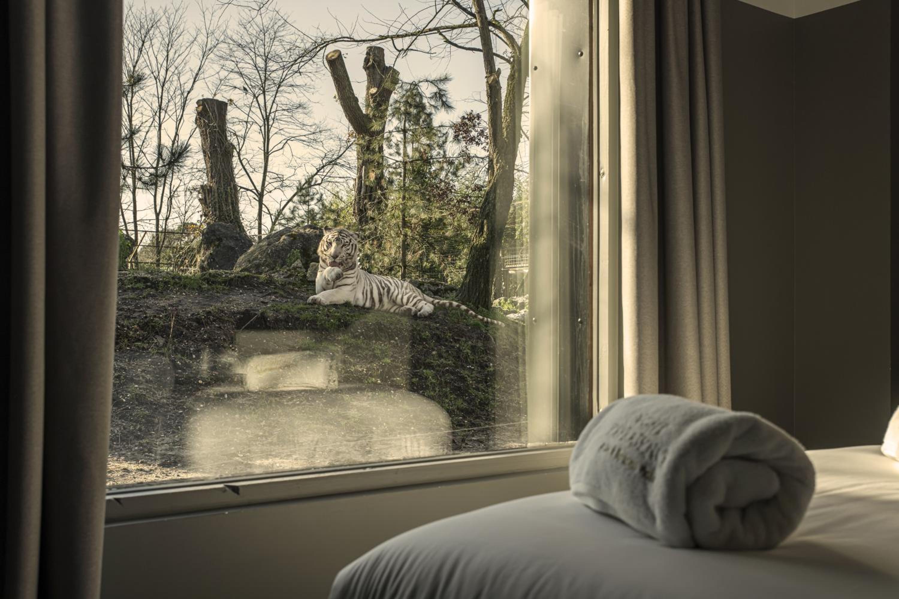Night experience - Lodge By Zoo Bordeaux Pessac