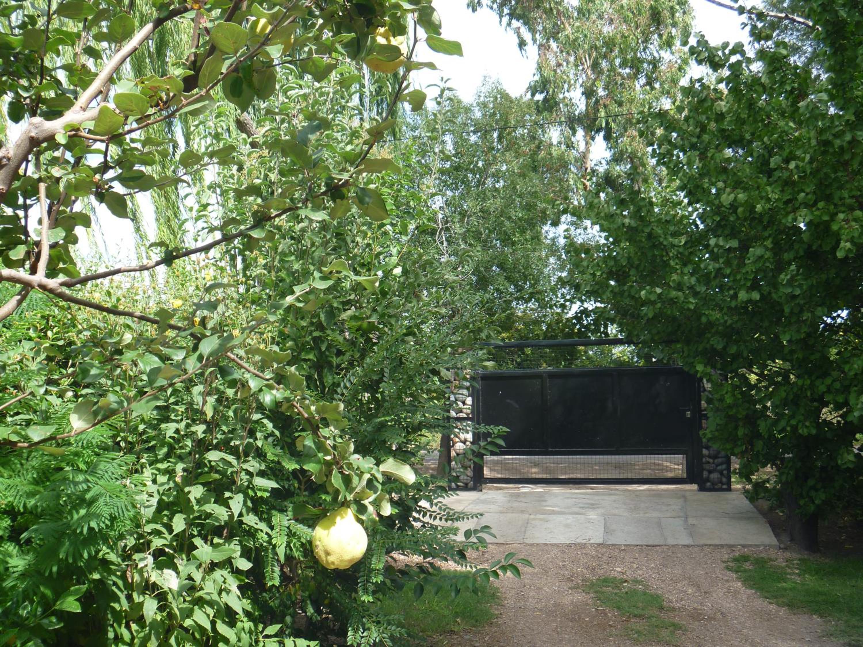 Cabañas Aike