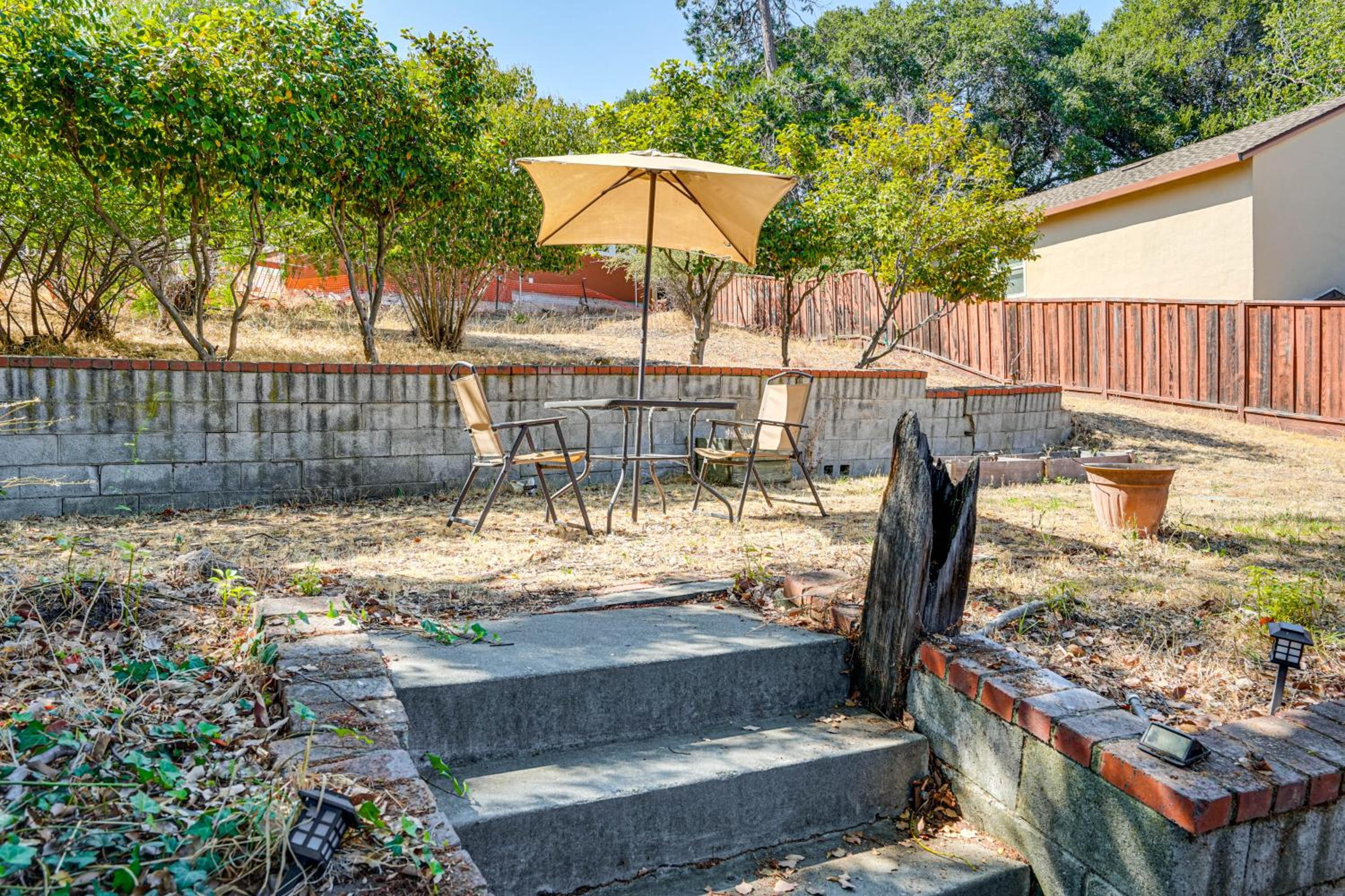 Serene Studio in SF Suburbs Quiet and Cat Friendly!