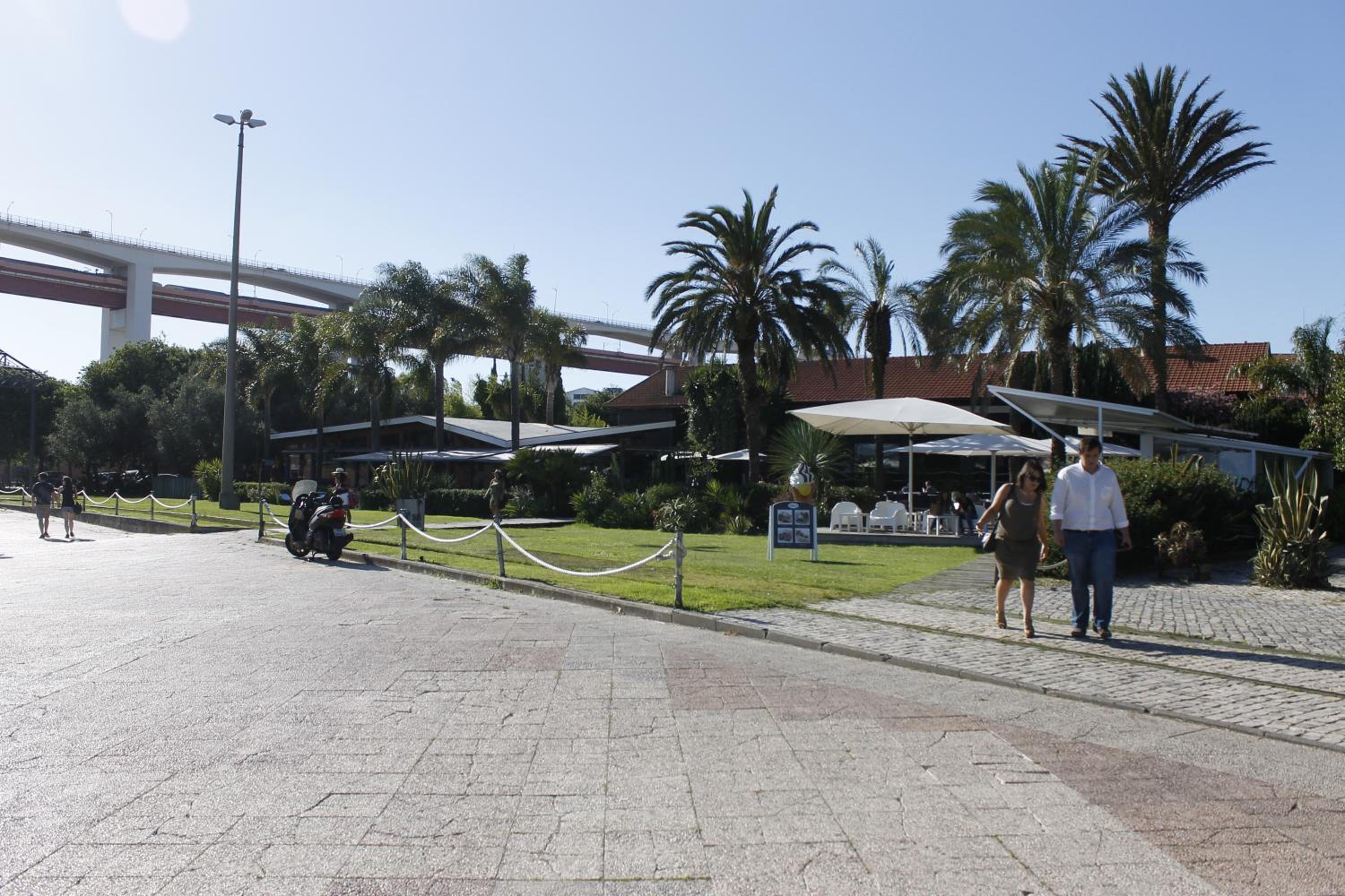 Photo 45