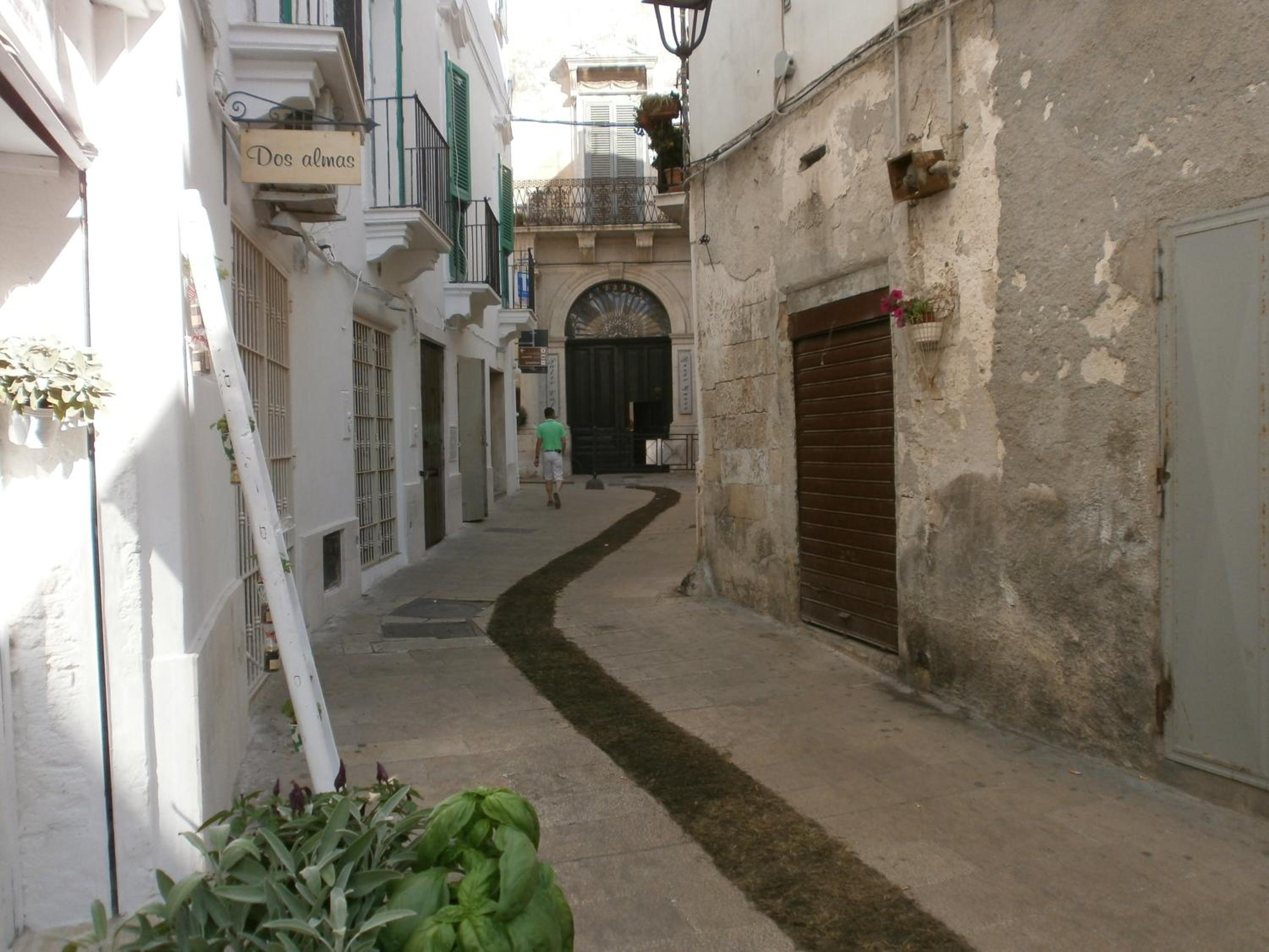 Photo 50