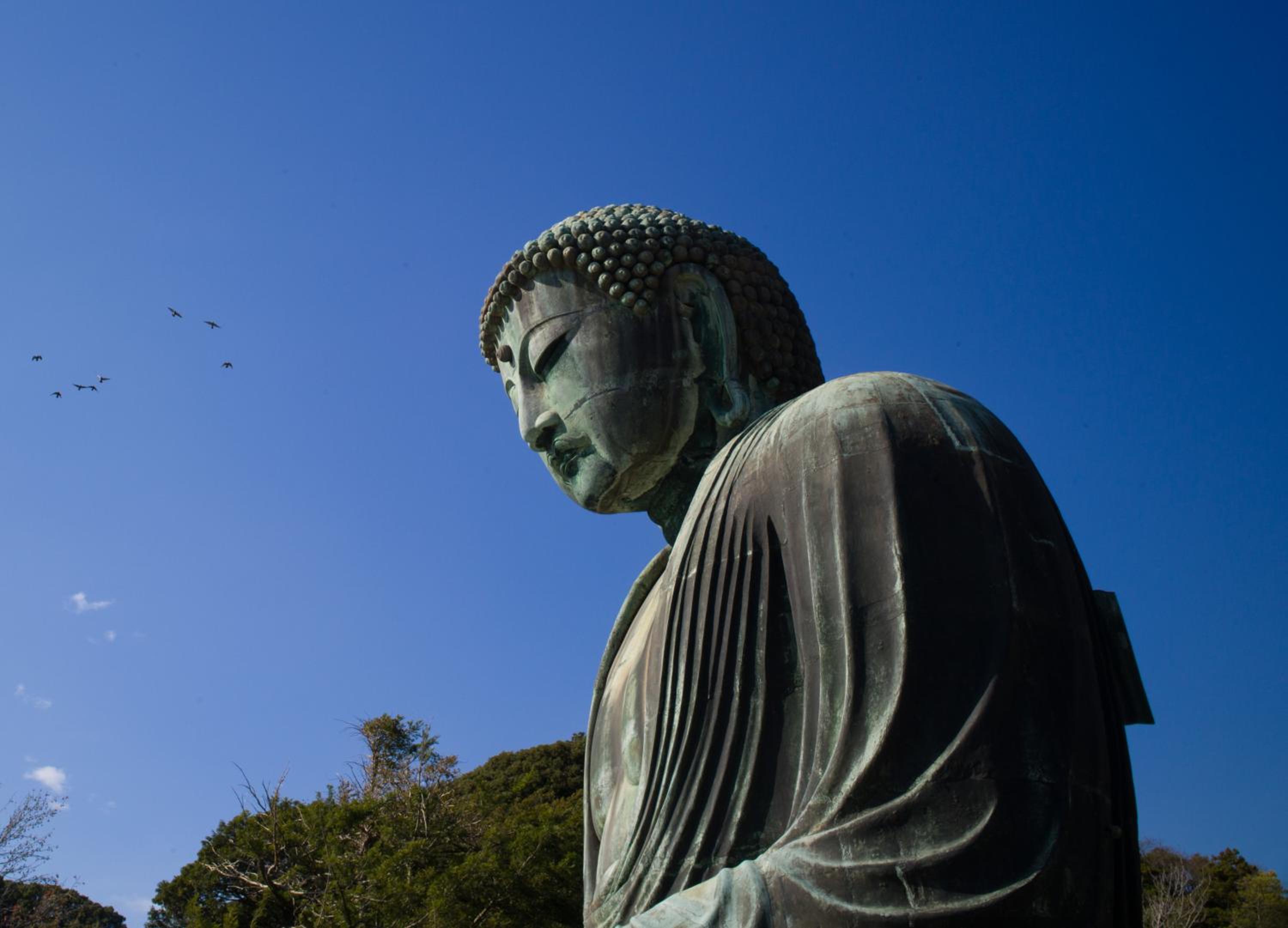 Dali's Nest Kamakura
