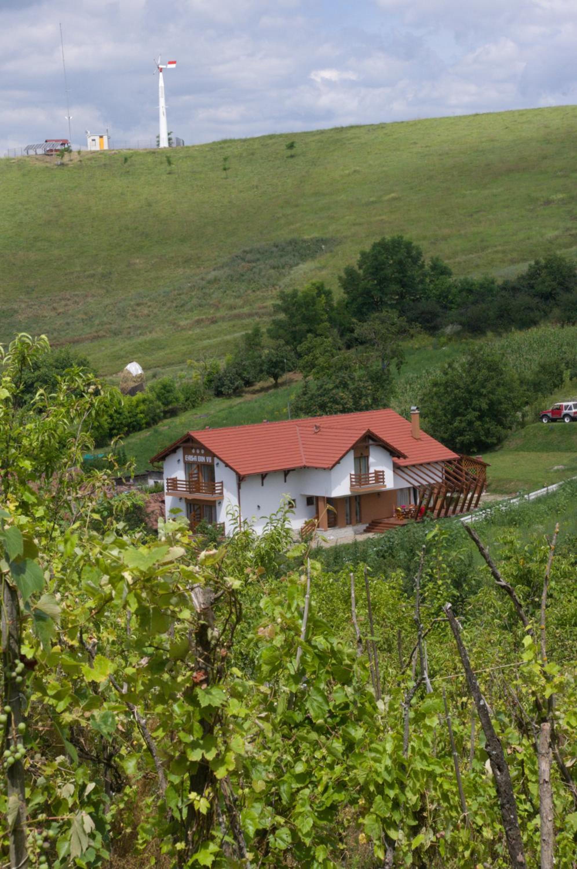 Pensiunea Casa din Vii view 3