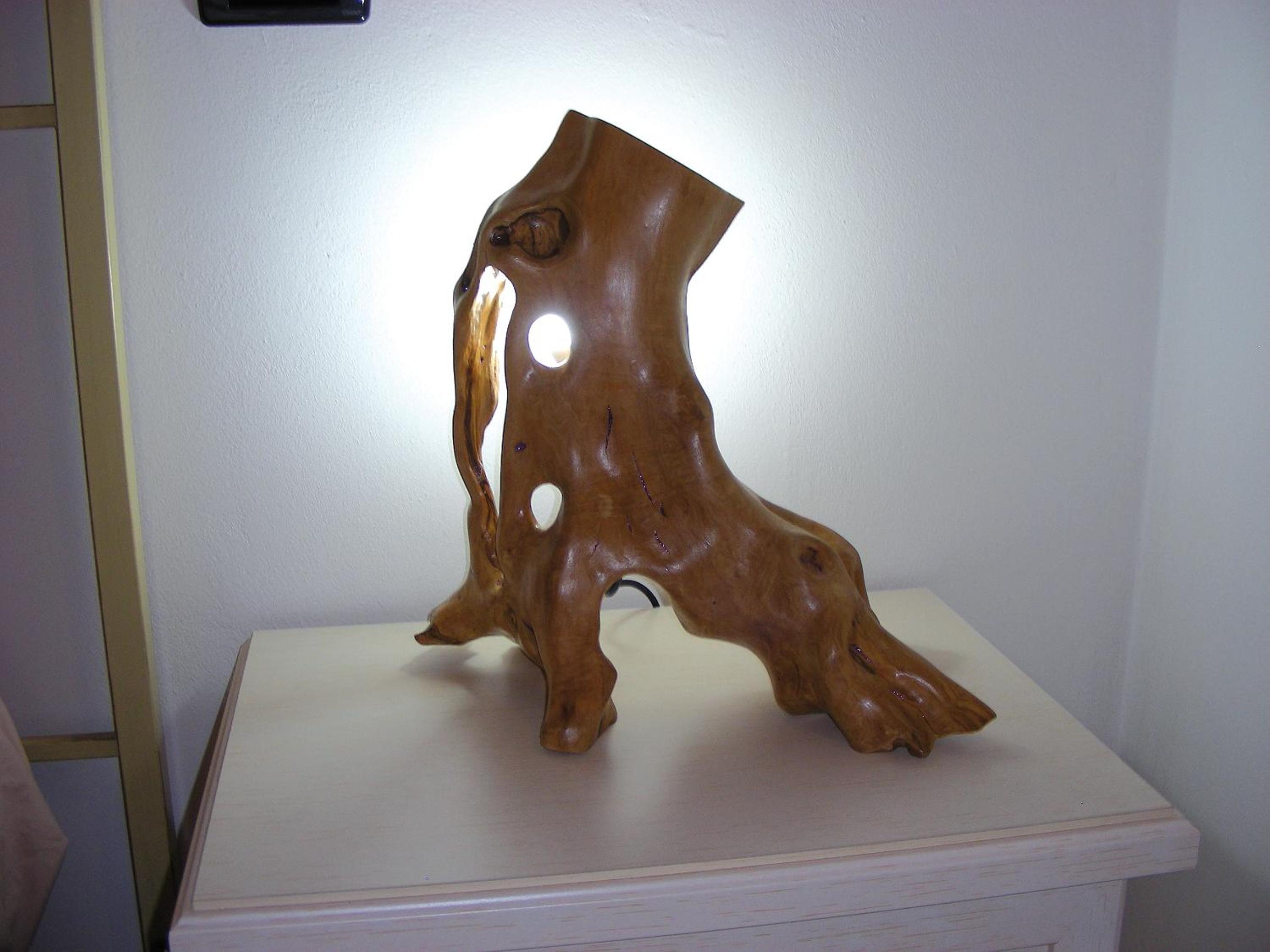 Photo 41