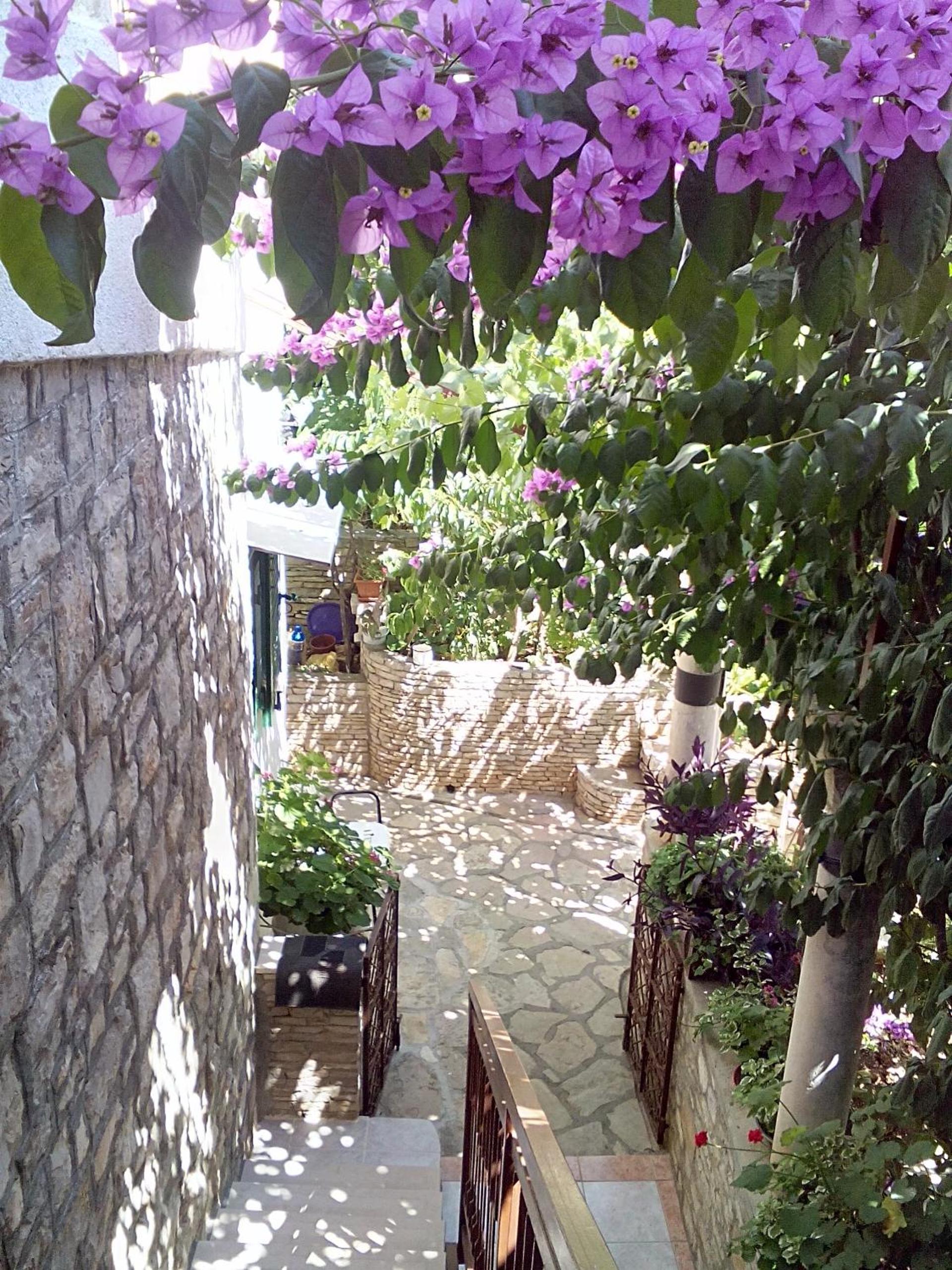 Photo 31