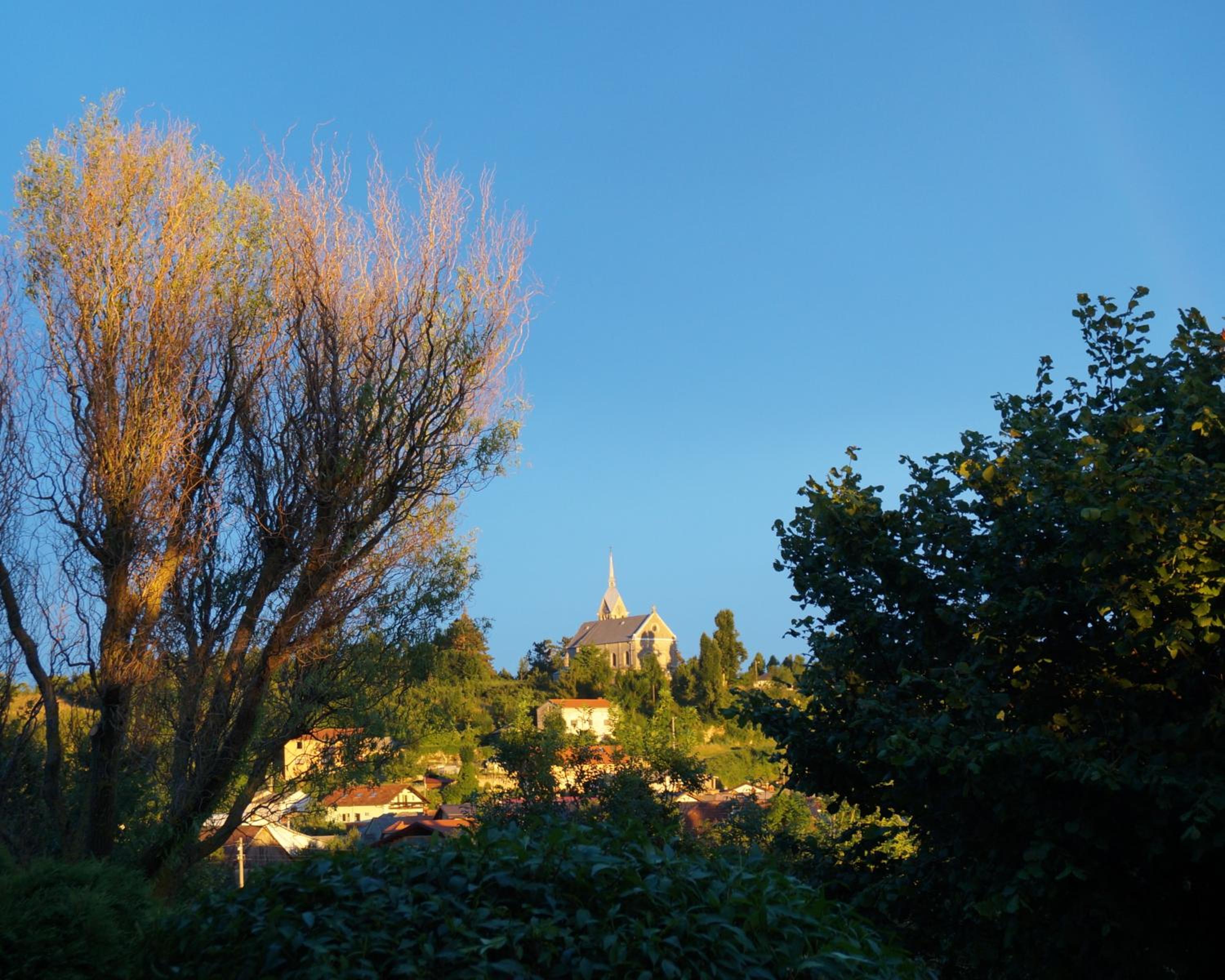 Photo 49