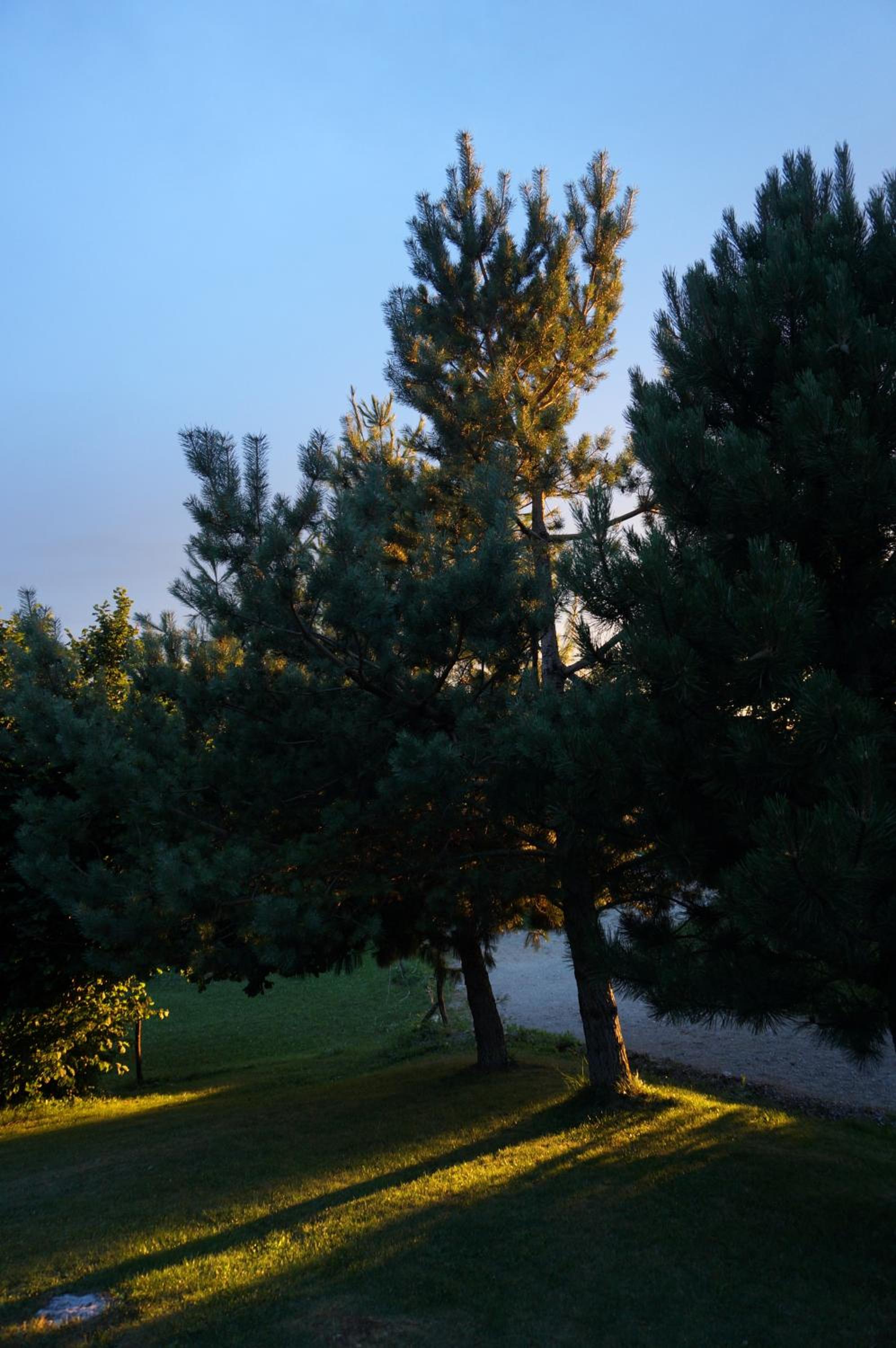 Photo 35
