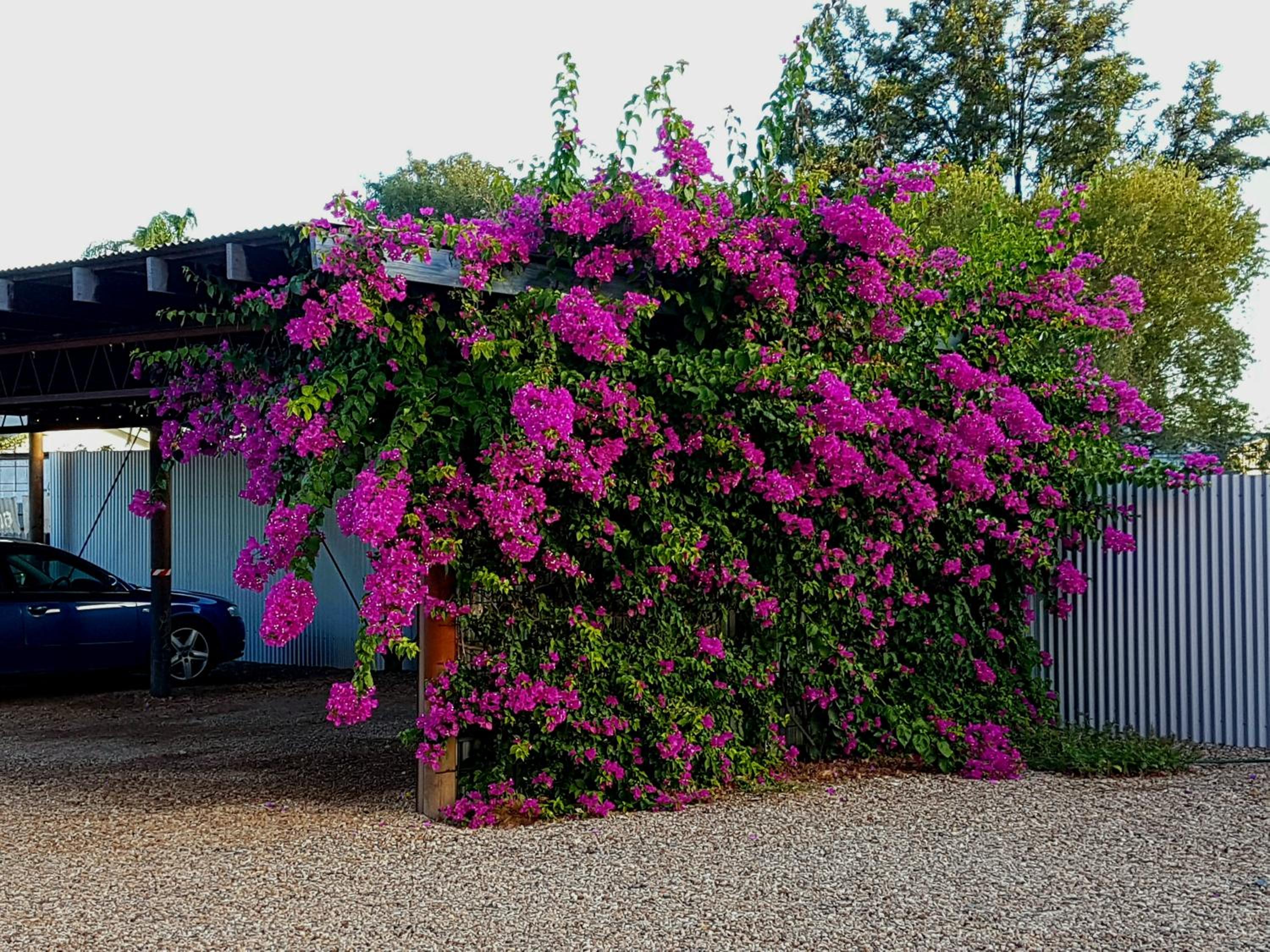 Broken Hill Outback Church Stay