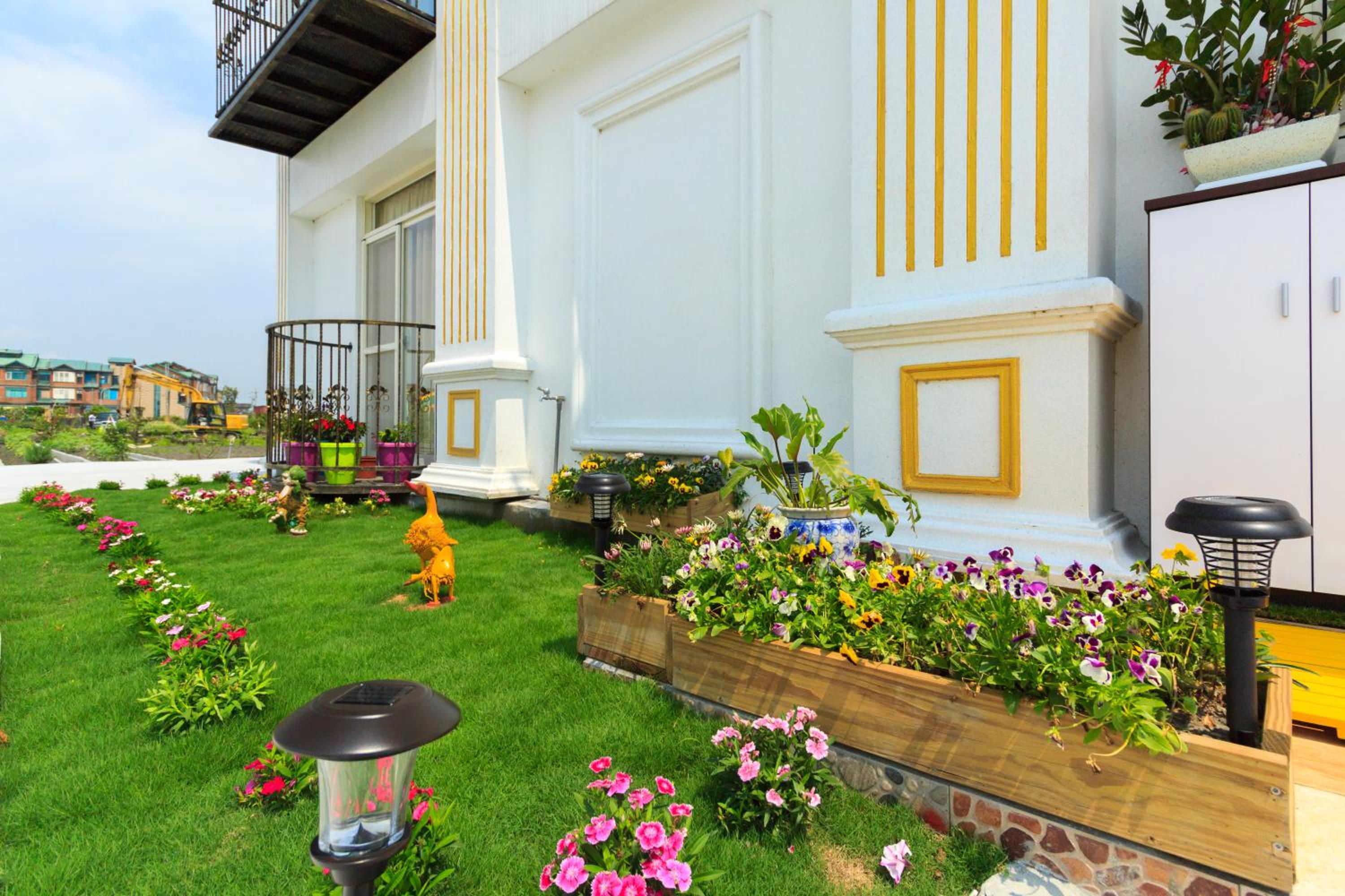 Alice Wonderland B&B