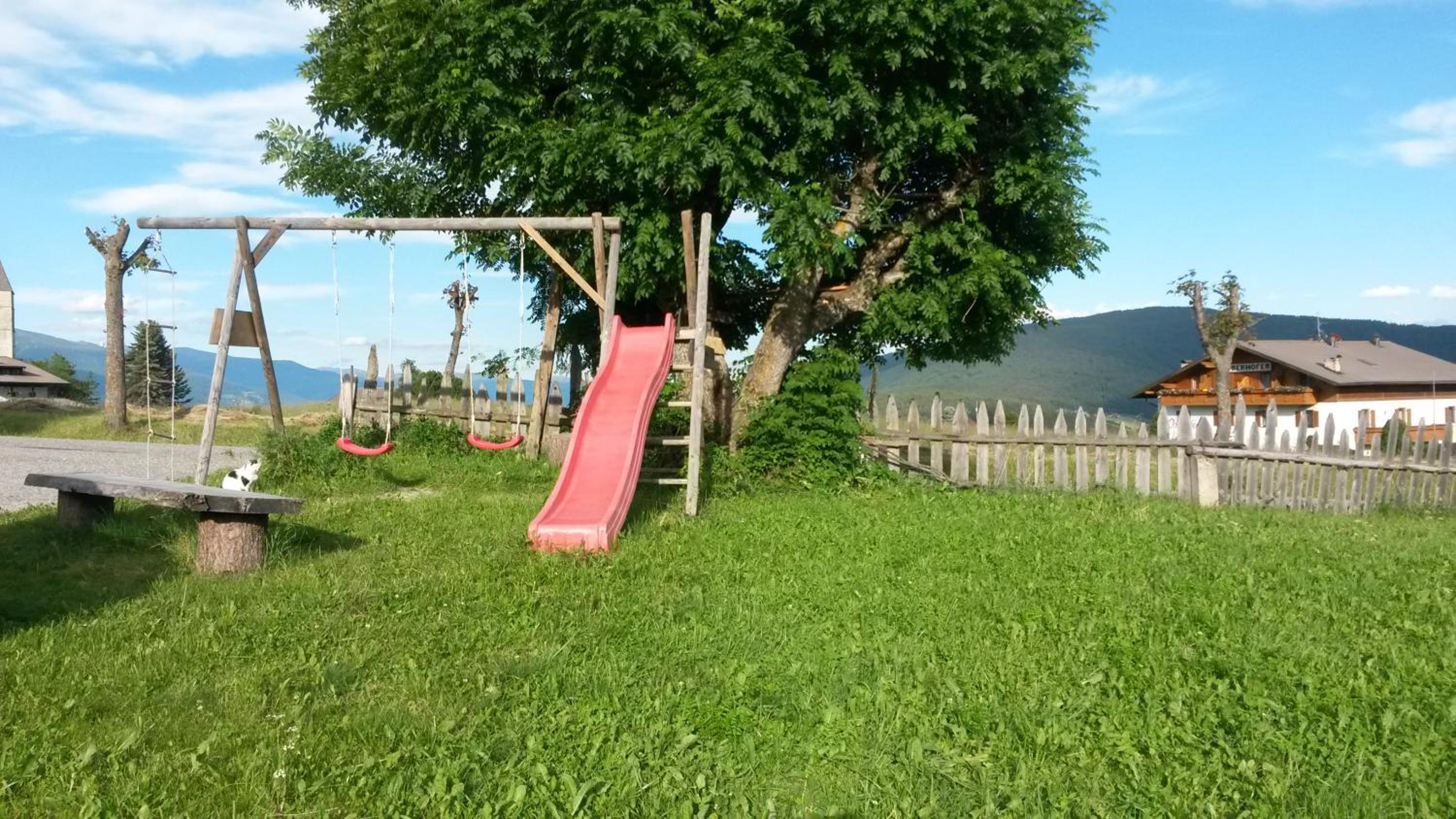Photo 13