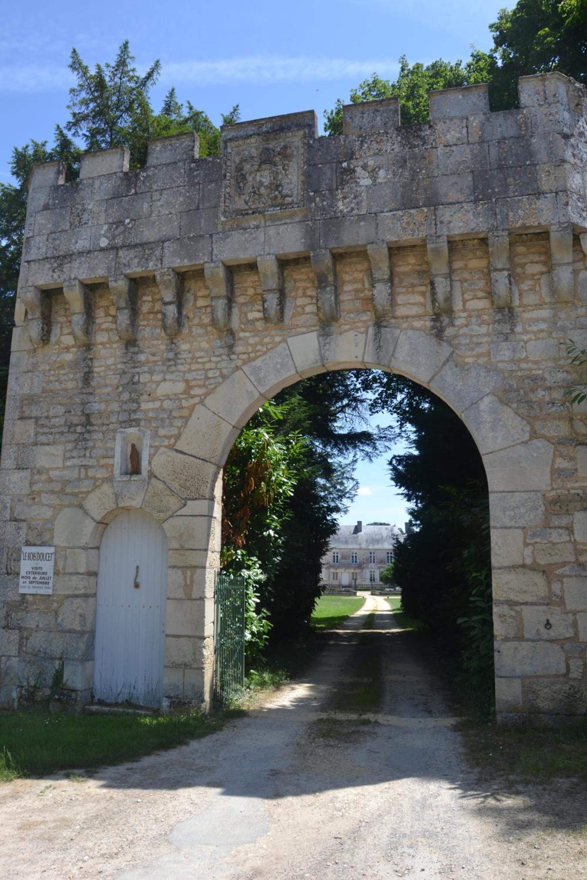 Photo 15