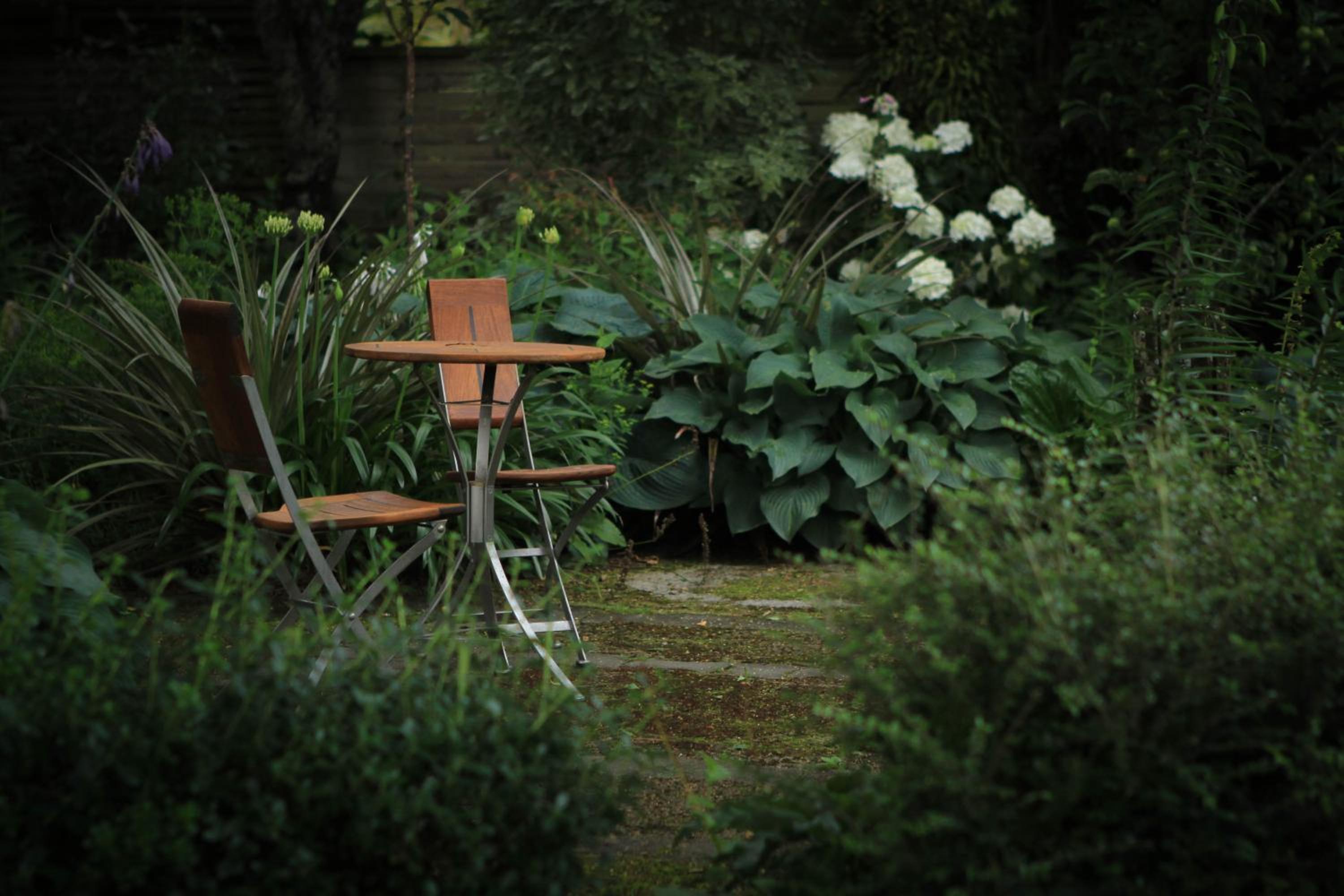 Photo 17