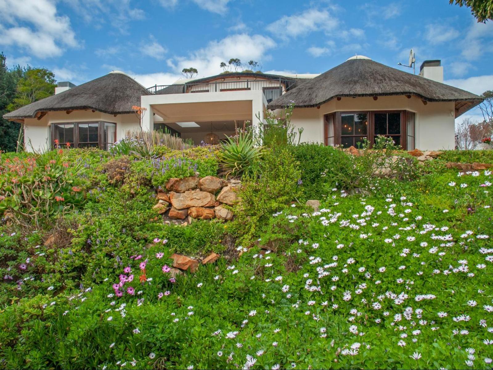Leopard Lodge