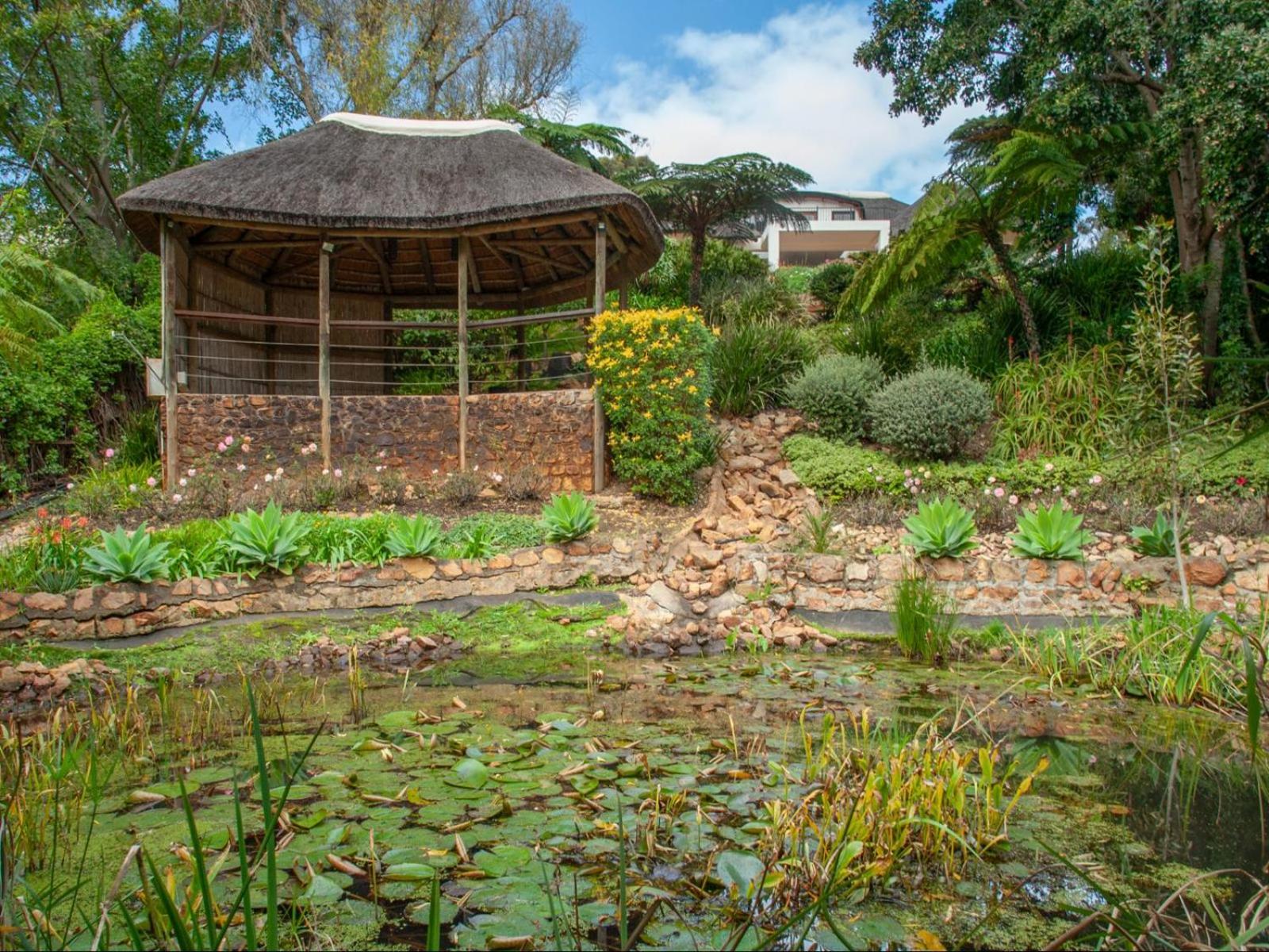 Leopard Lodge