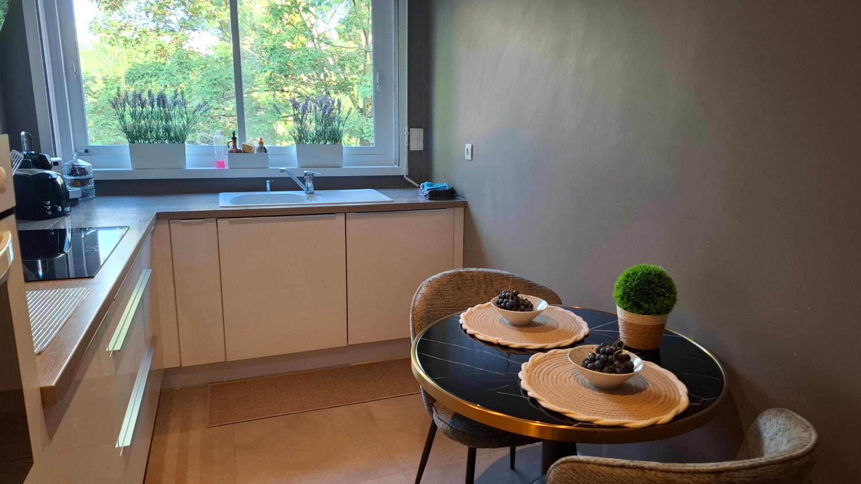 Appartement 115 m2 Garage Tram Lille St Maur