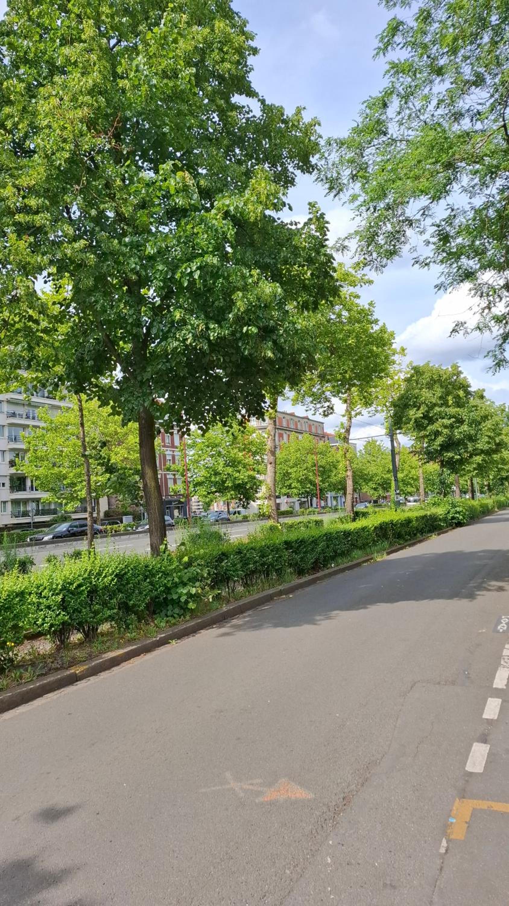 Appartement 115 m2 Garage Tram Lille St Maur