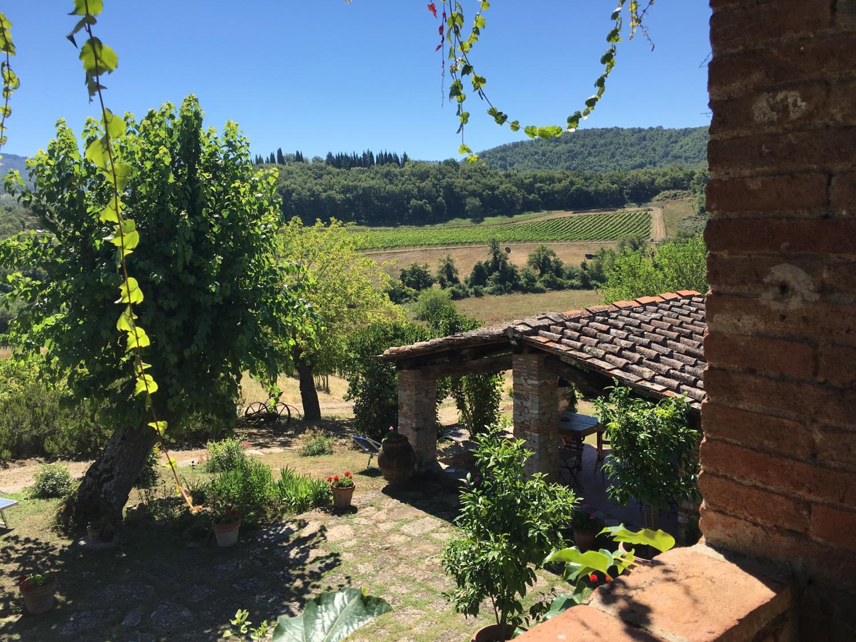 Radda in Chianti Vacations - Podere Terreno alla via della volpaia - Property Image 77