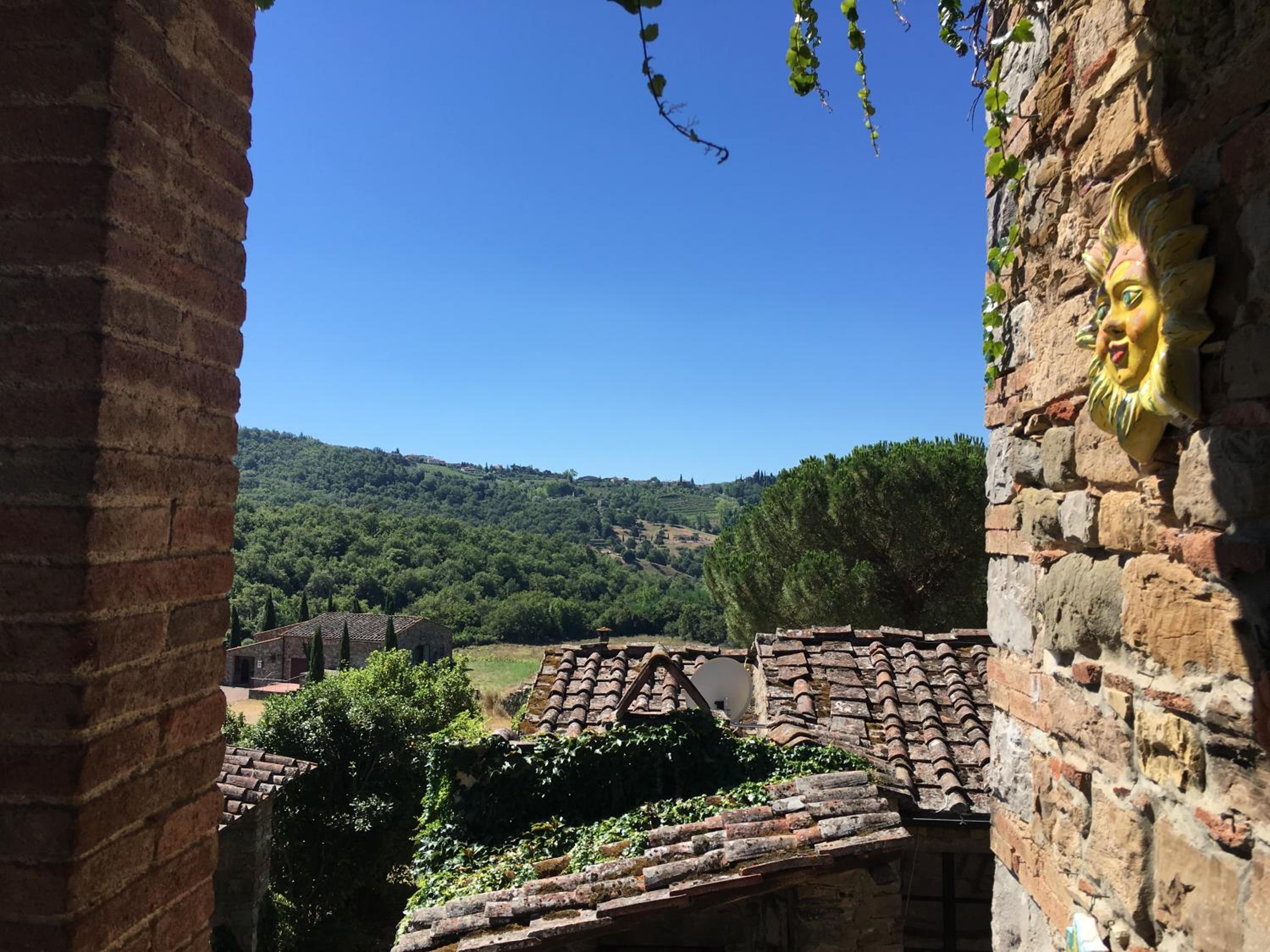 Radda in Chianti Vacations - Podere Terreno alla via della volpaia - Property Image 76