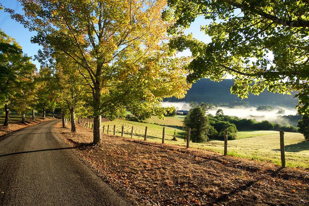 Clarendon Forest Retreat