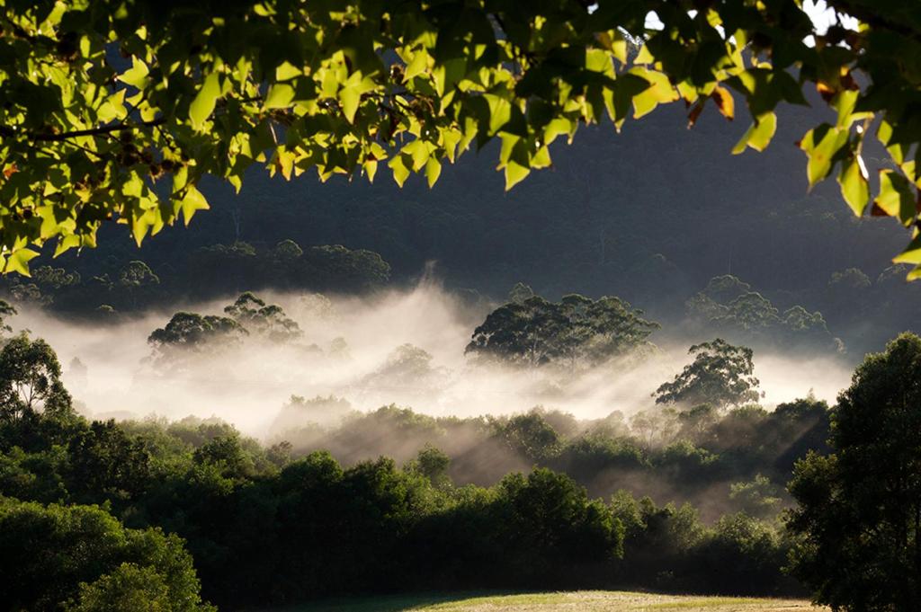 Clarendon Forest Retreat