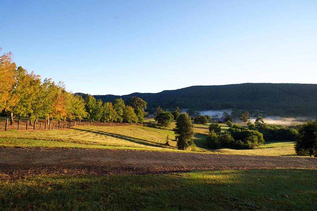 Clarendon Forest Retreat
